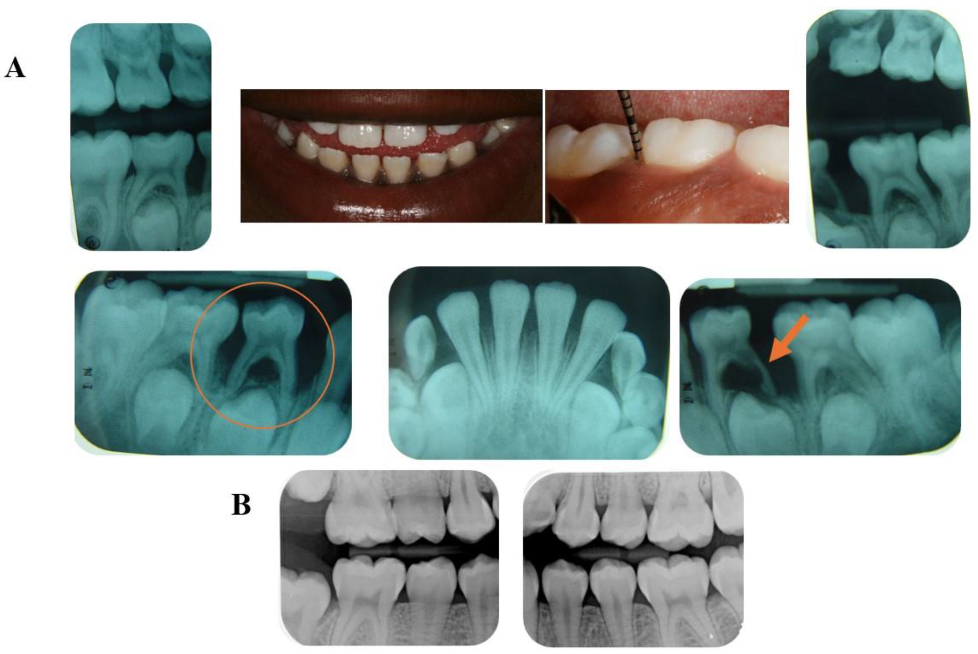 Pathogens 13 00580 g001
