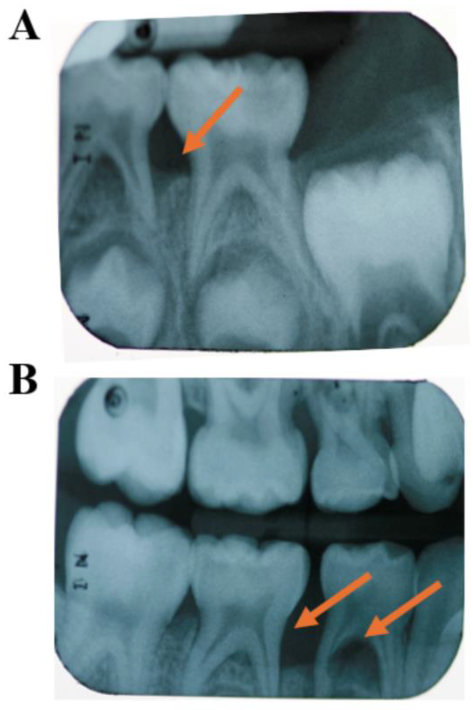 Pathogens 13 00580 g007
