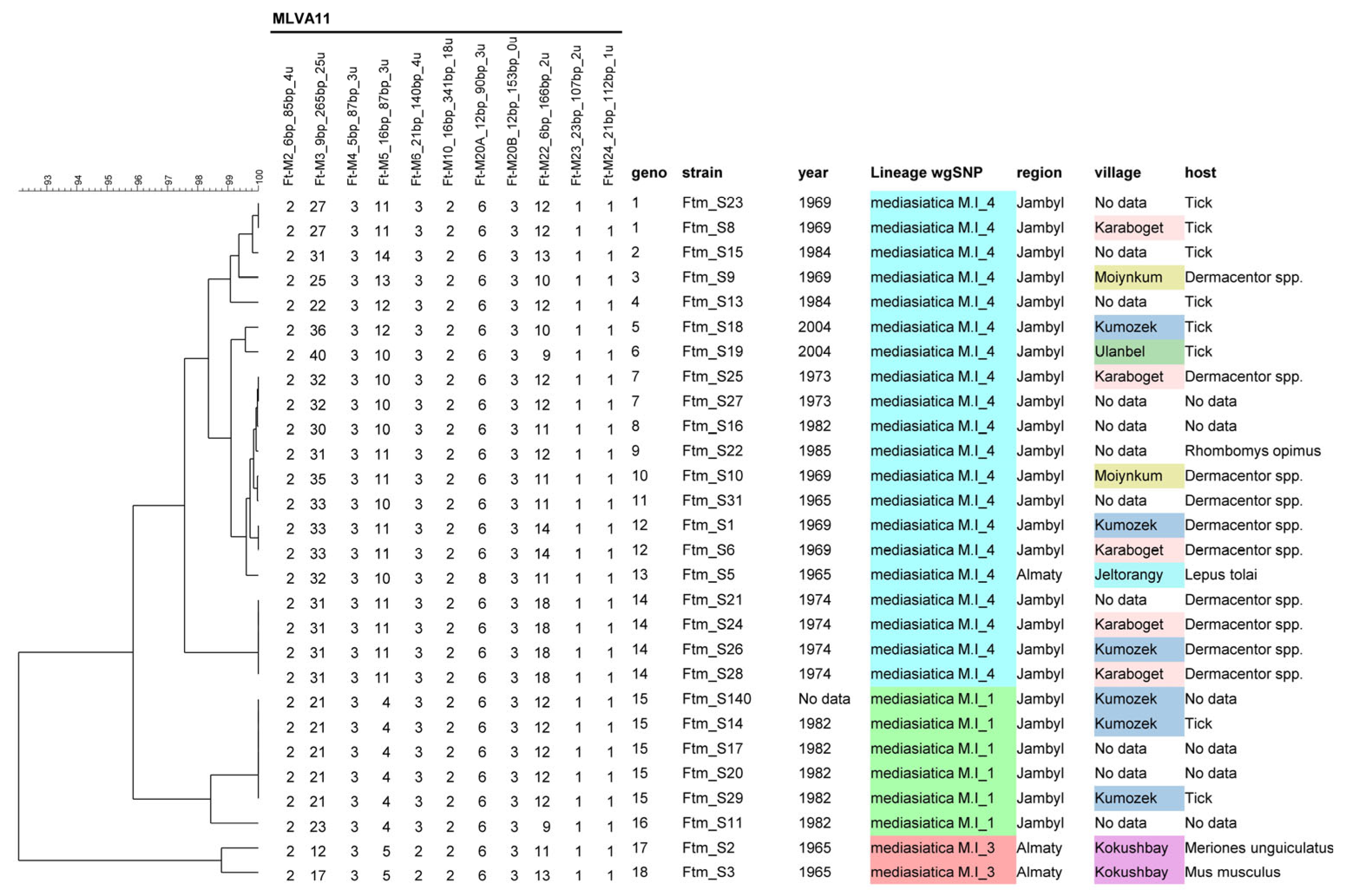 Pathogens 13 00581 g002