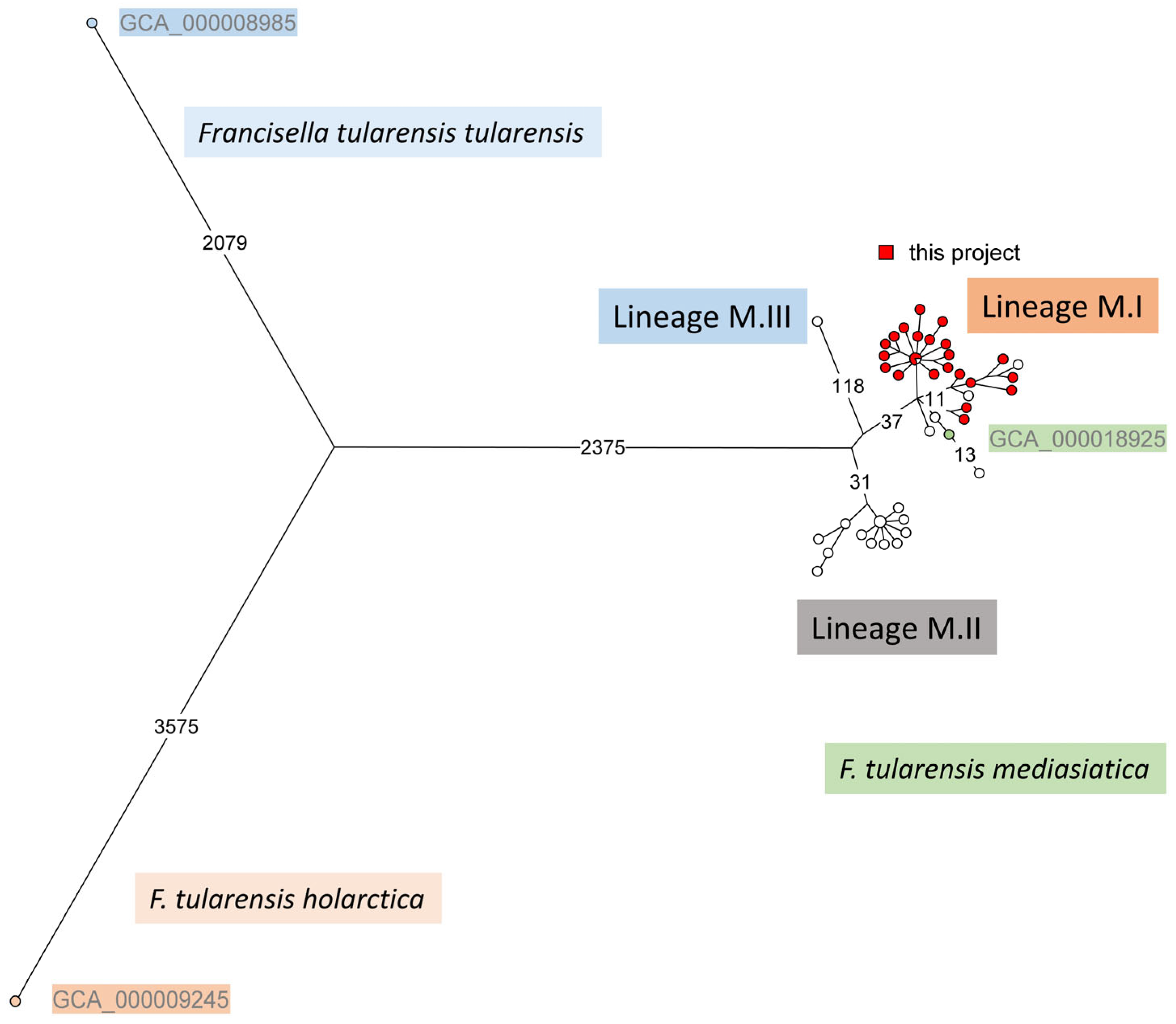 Pathogens 13 00581 g003