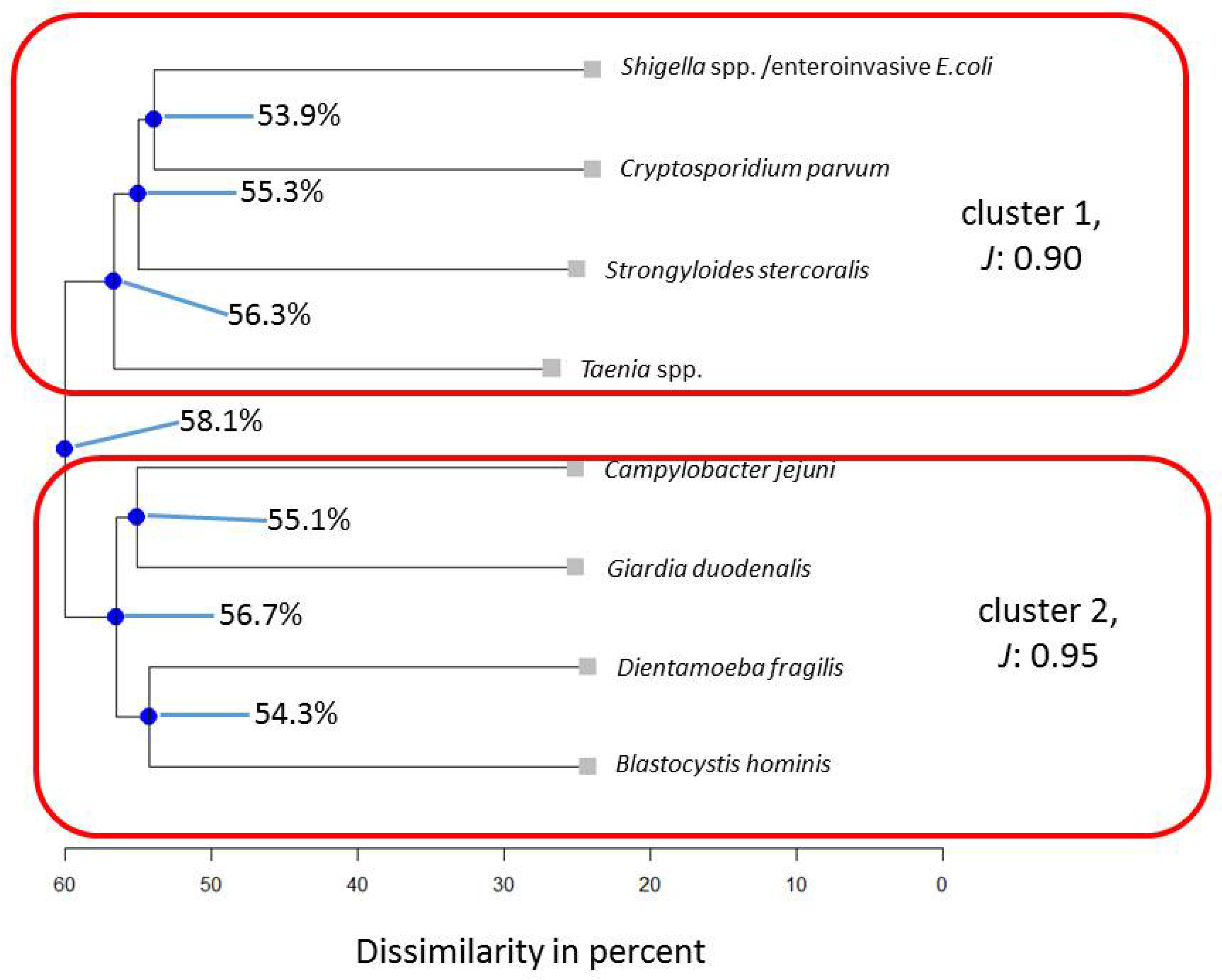 Pathogens 13 00583 g001