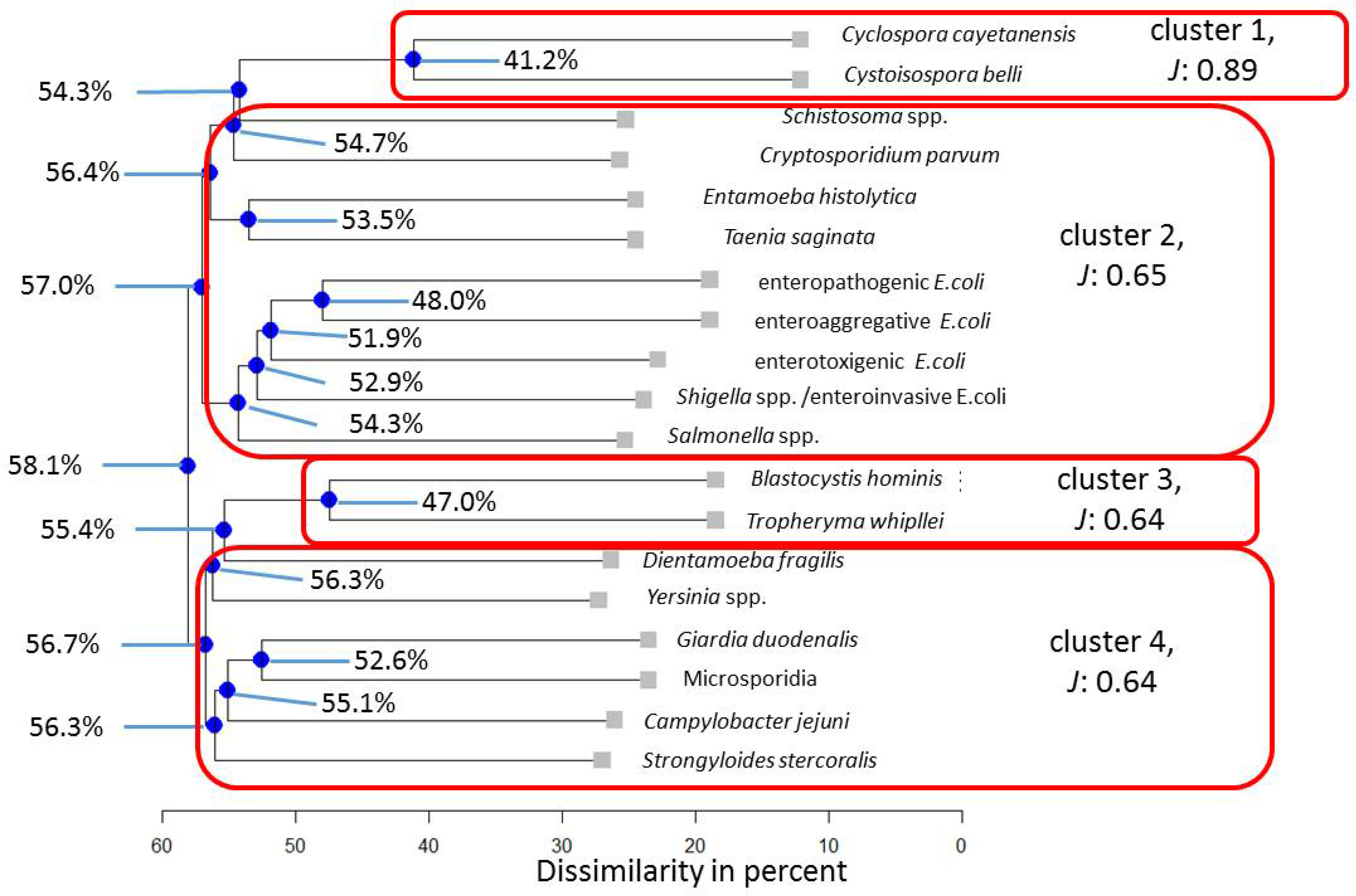 Pathogens 13 00583 g002