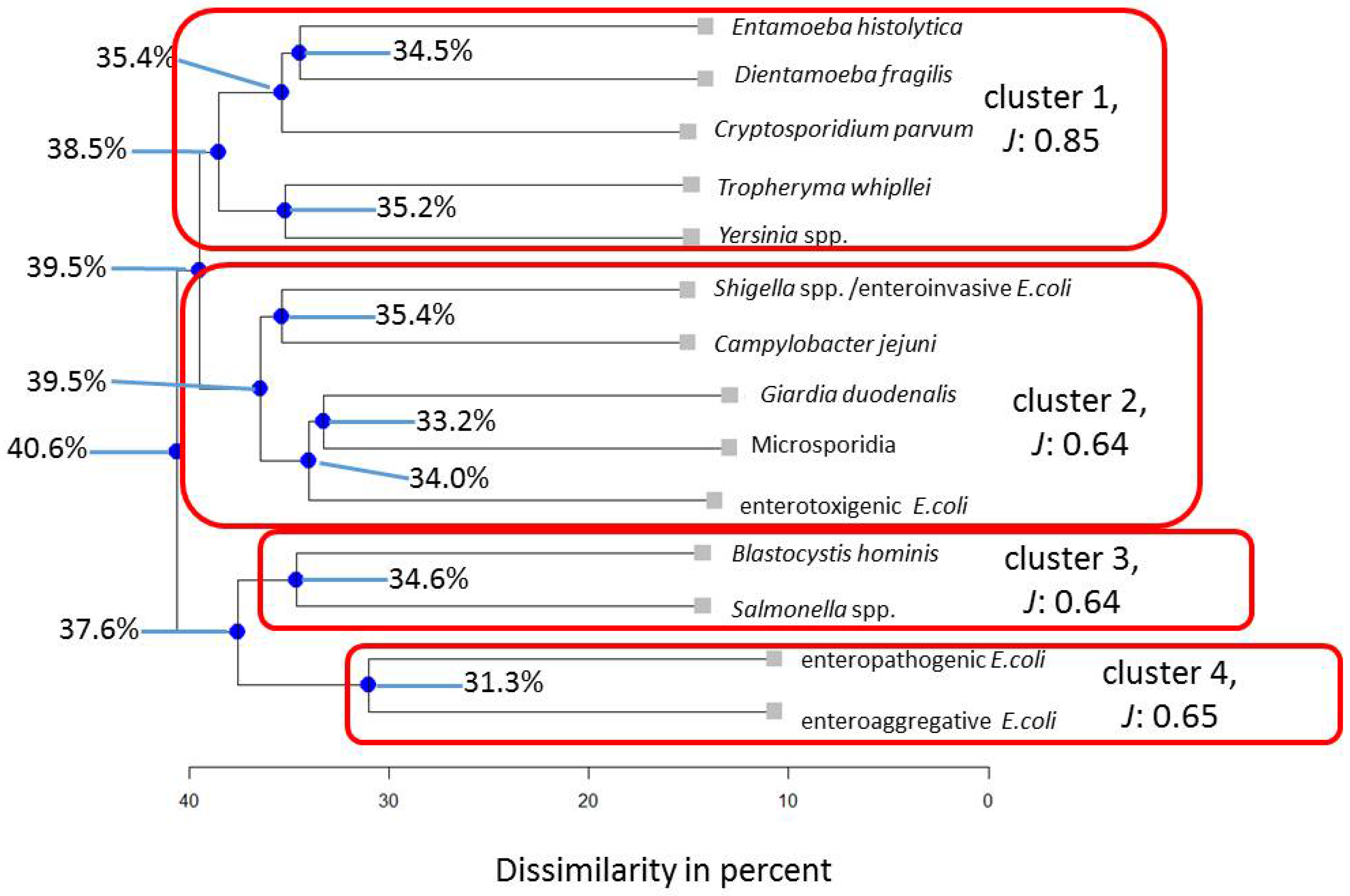 Pathogens 13 00583 g004