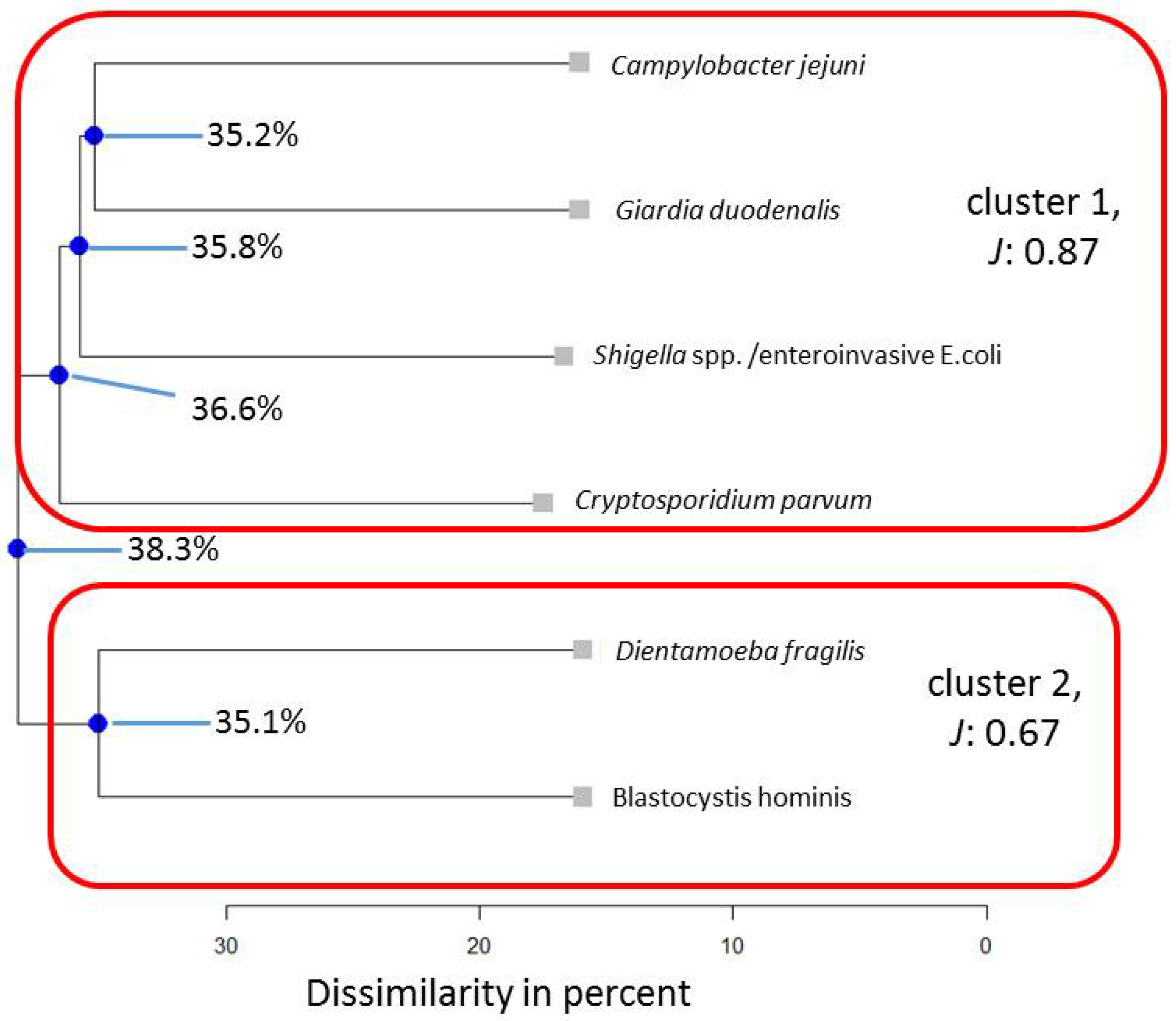 Pathogens 13 00583 g005