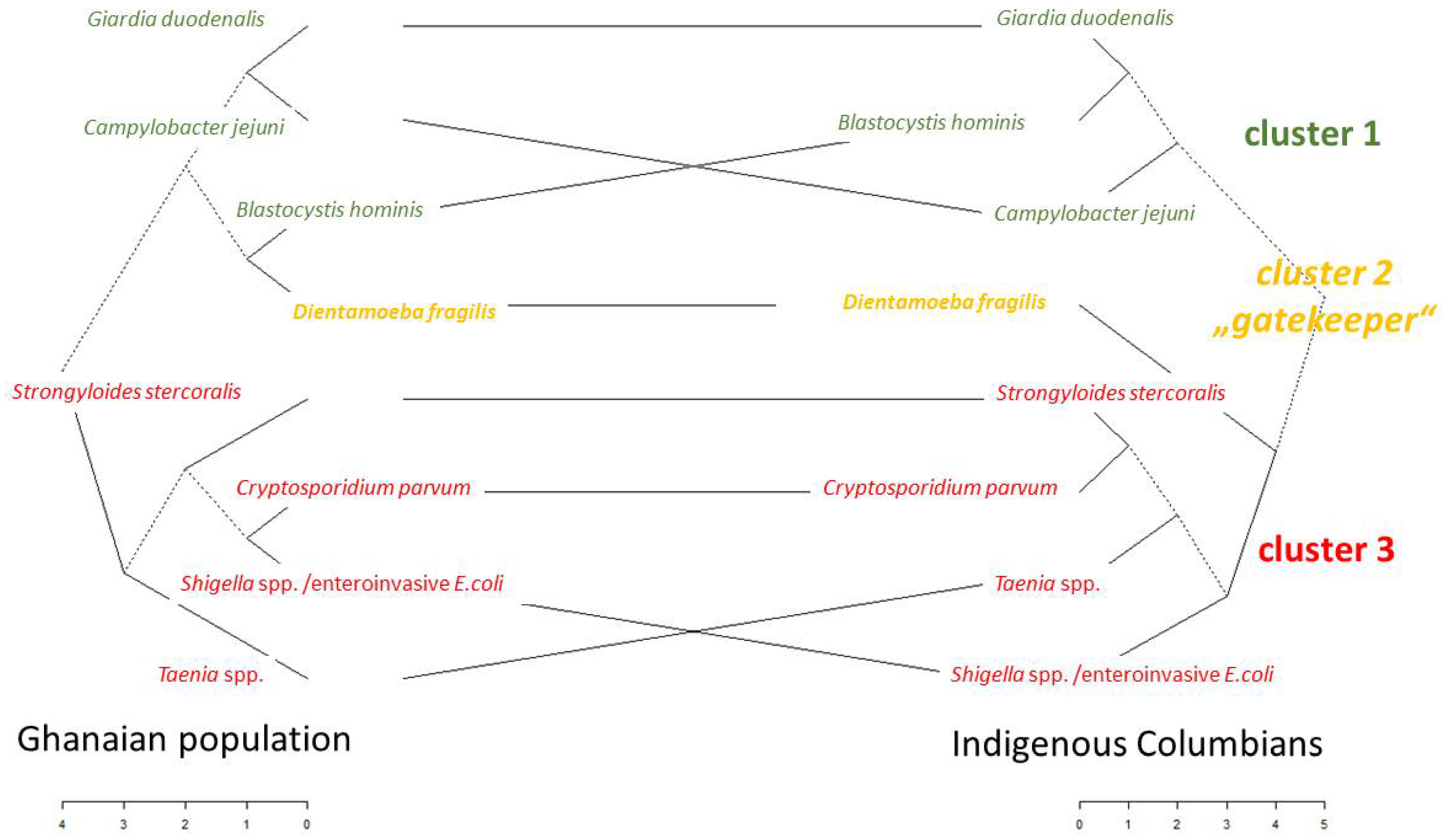 Pathogens 13 00583 g007