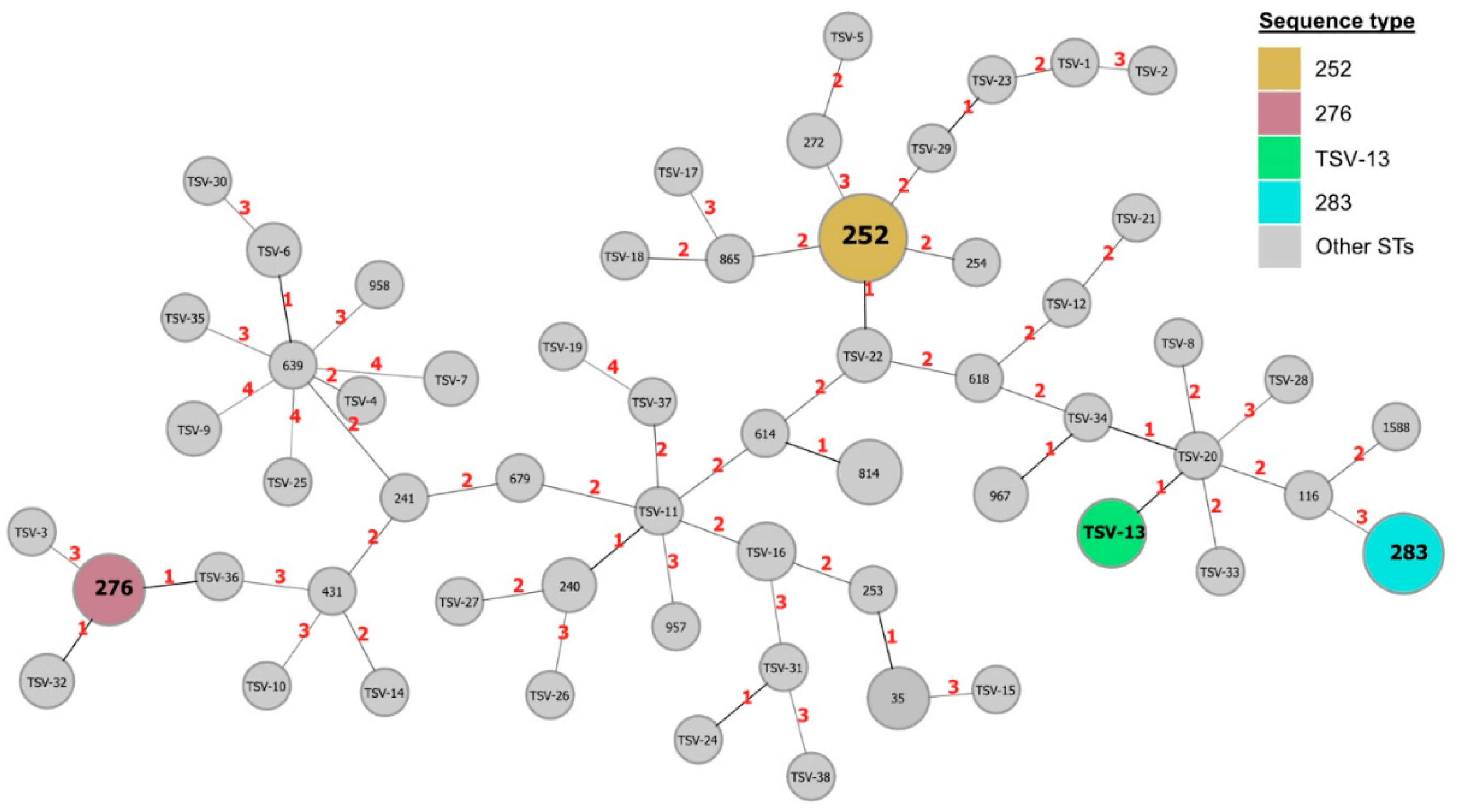 Pathogens 13 00584 g001