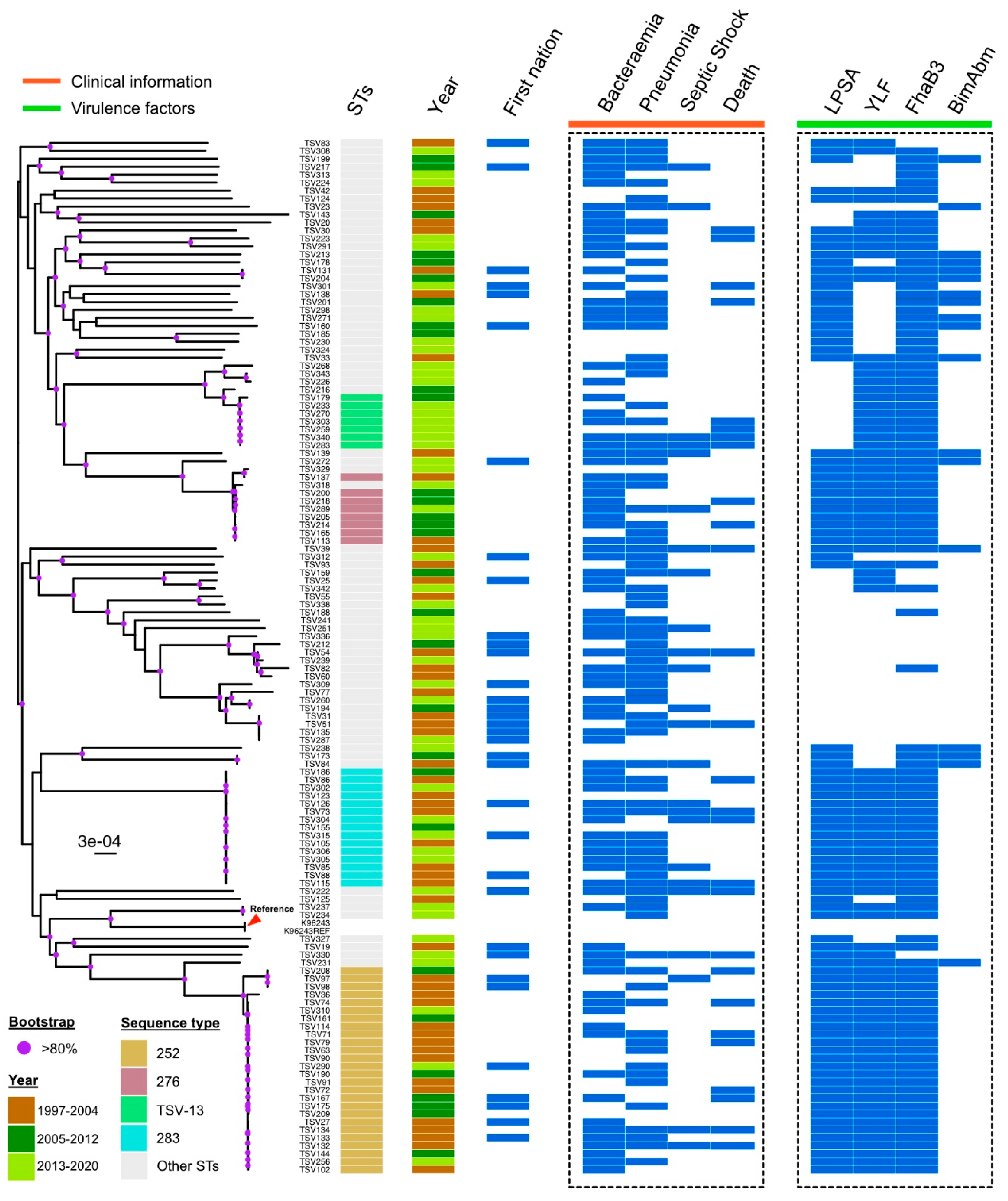 Pathogens 13 00584 g002