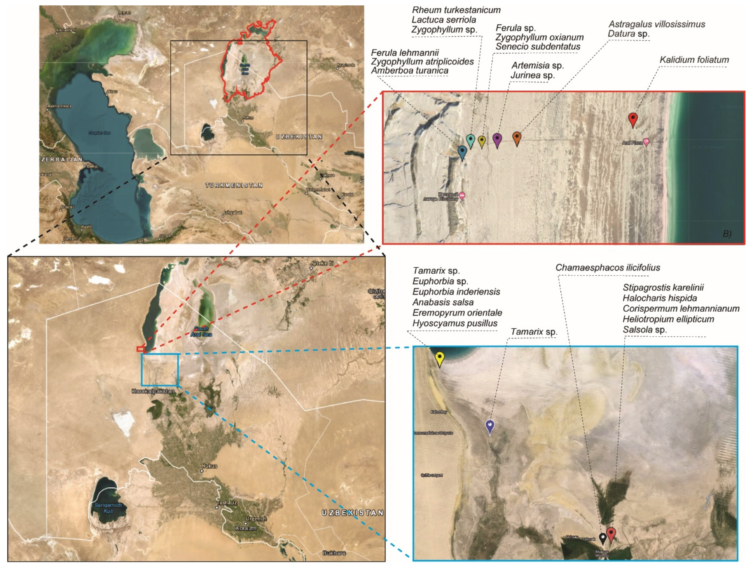 Pathogens 13 00585 g002
