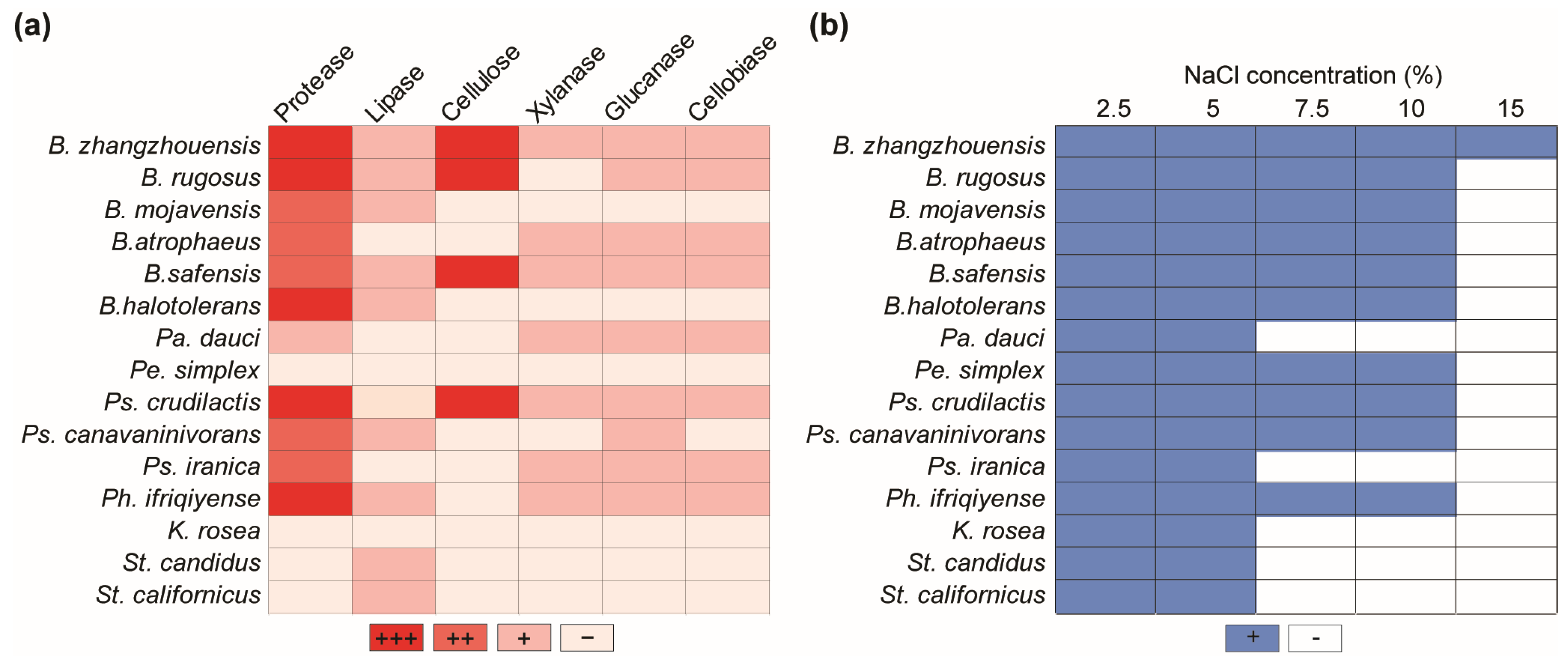 Pathogens 13 00585 g005