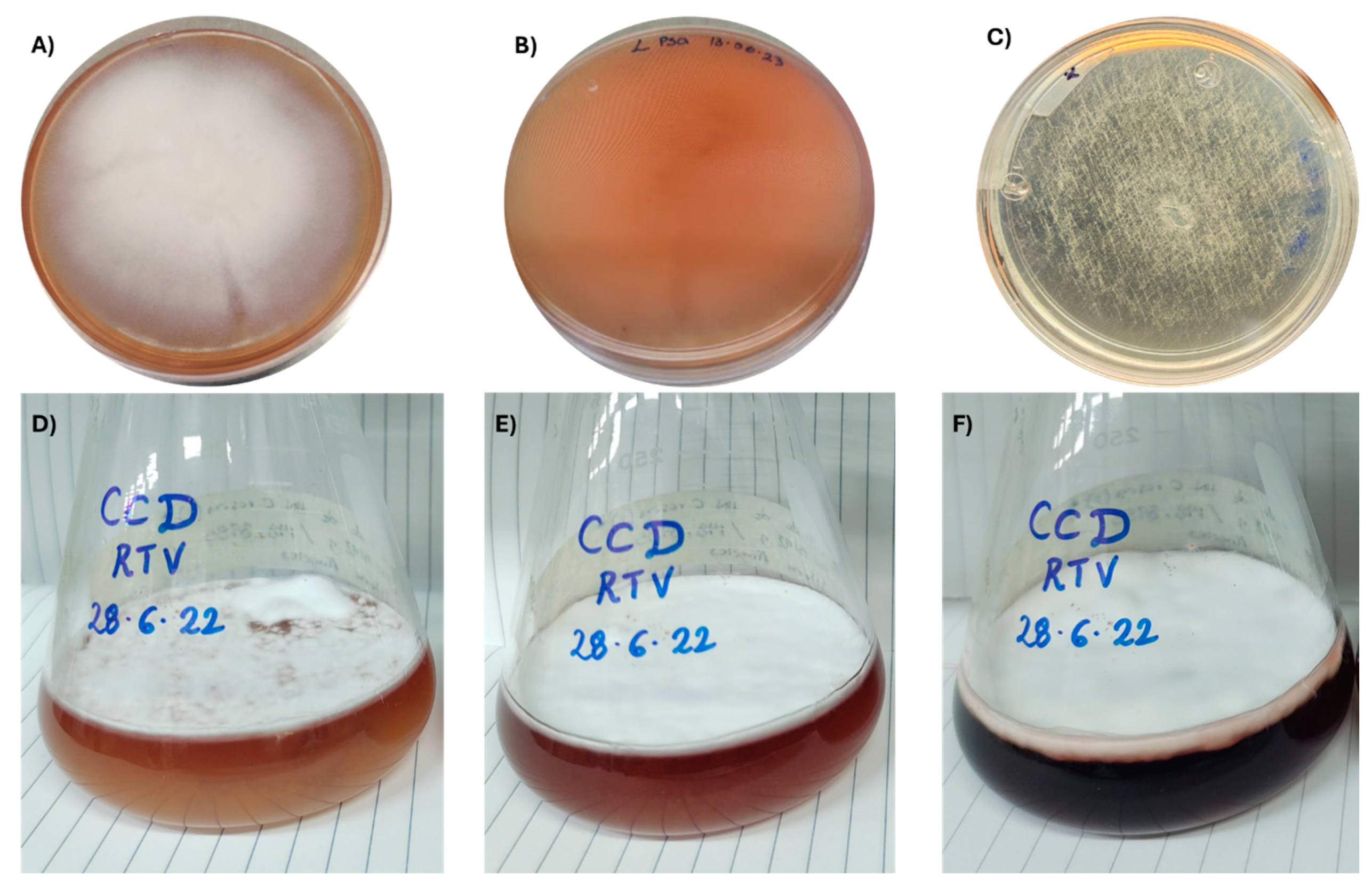 Pathogens 13 00588 g001 Pathogens 13 00588 g001