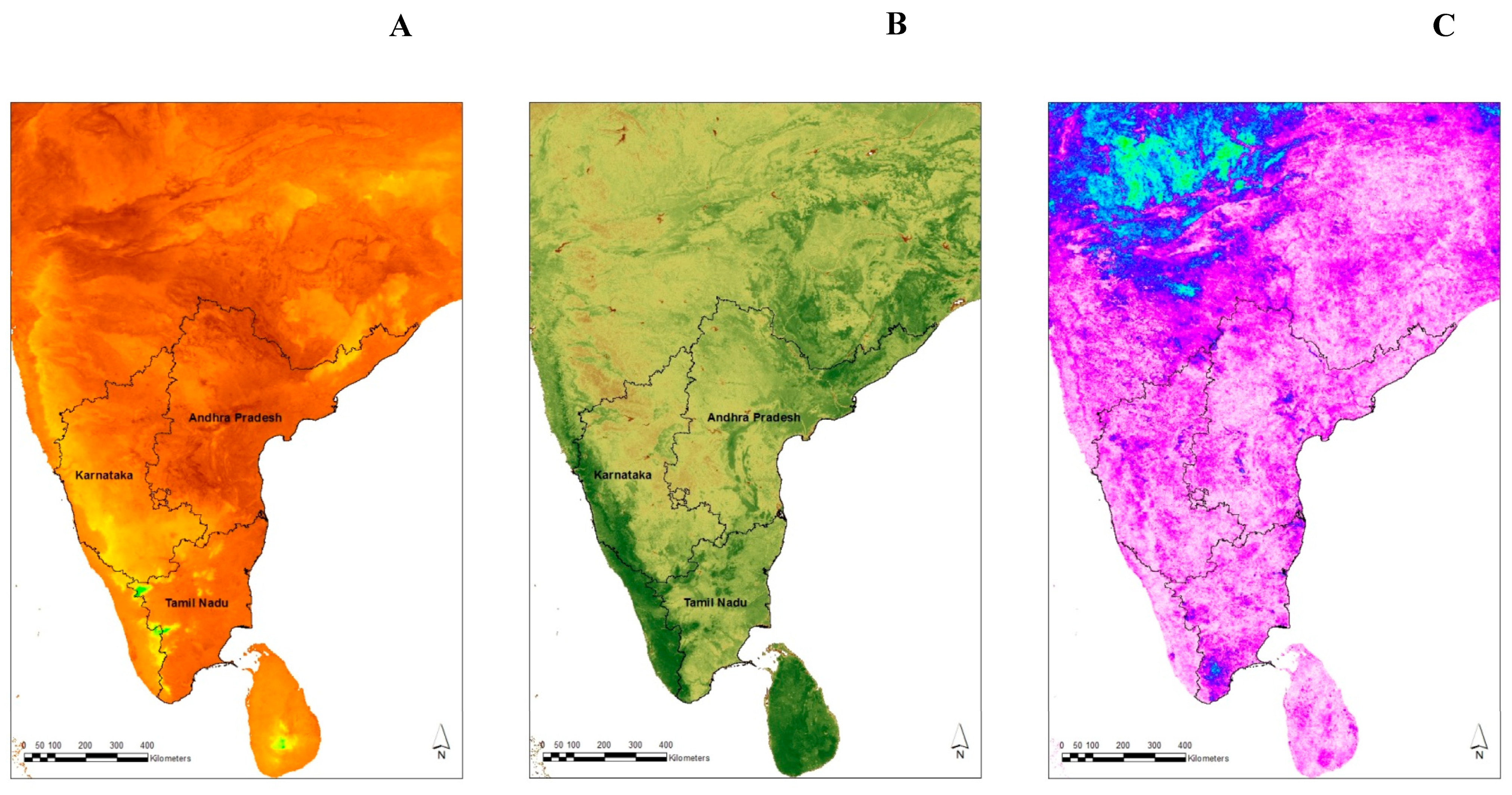 Pathogens 13 00590 g001