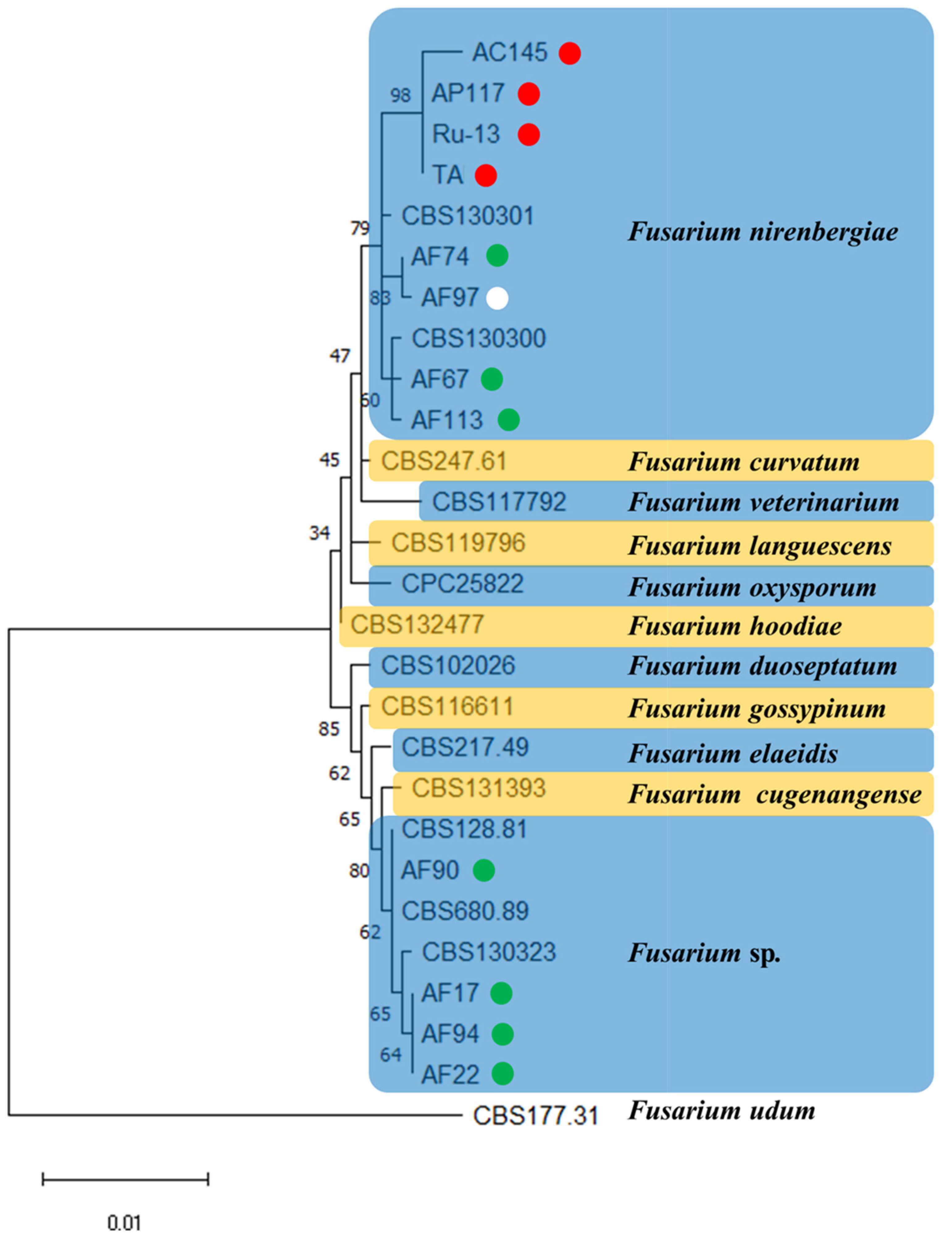 Pathogens 13 00591 g001