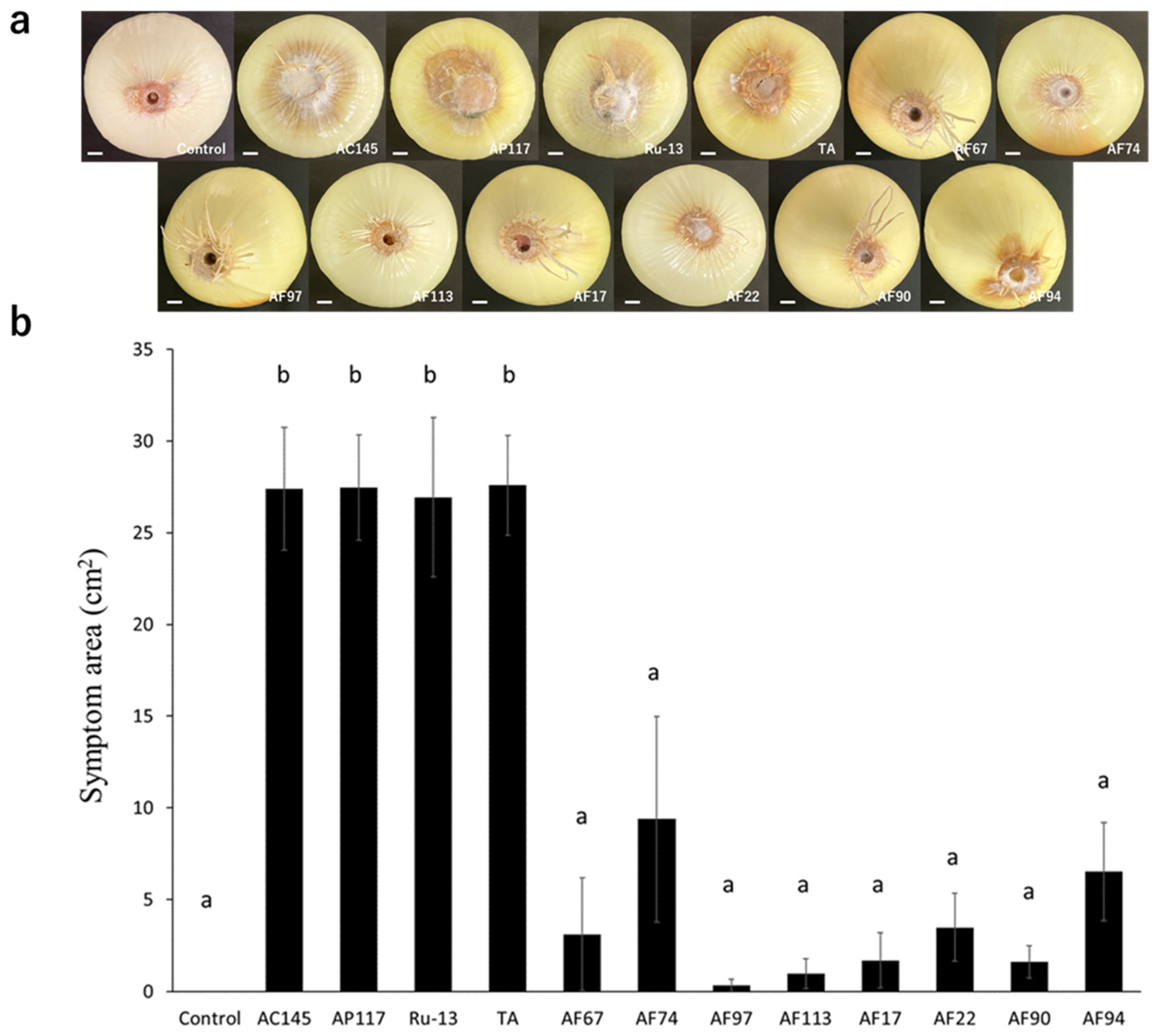 Pathogens 13 00591 g002