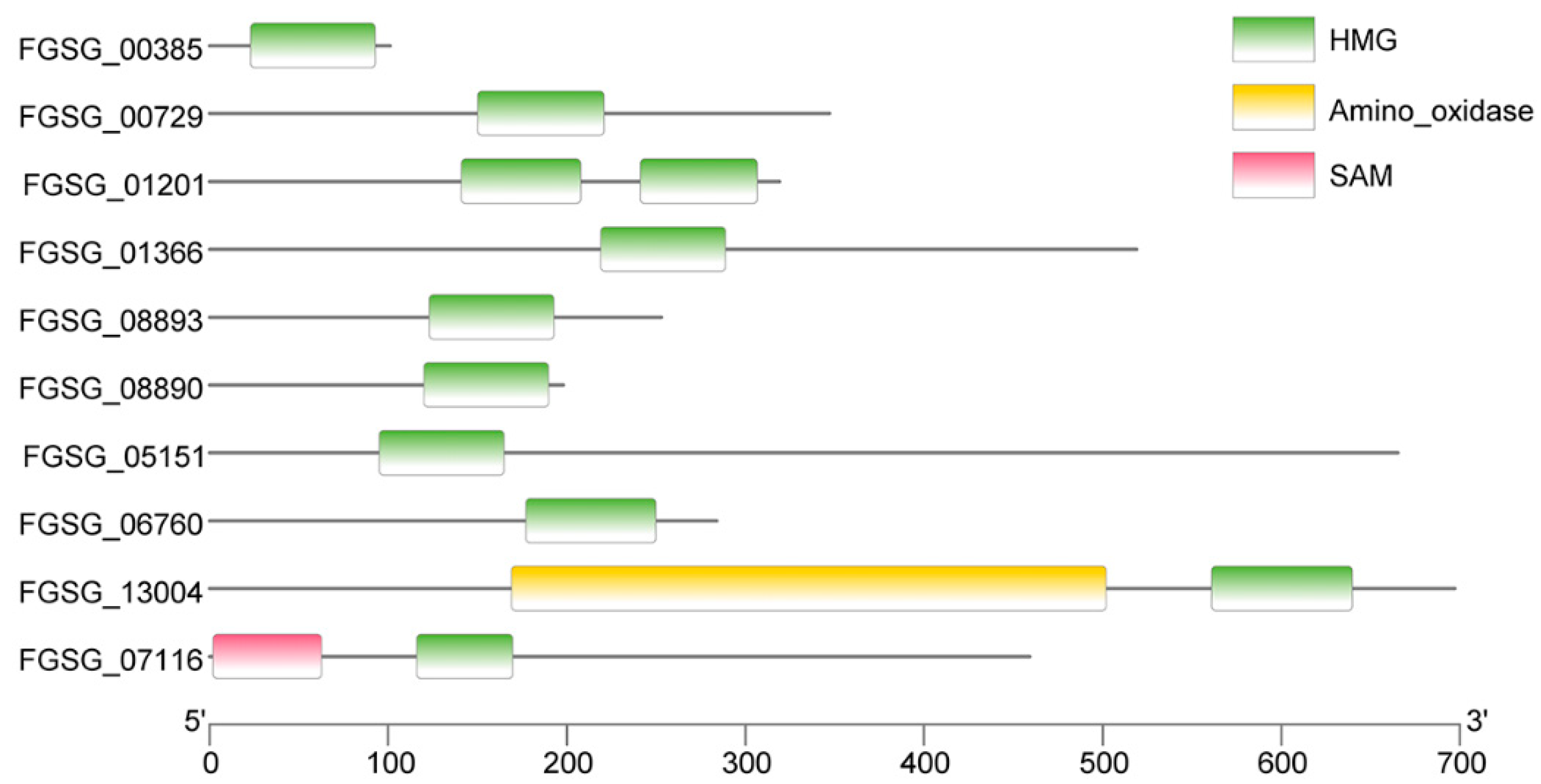 Pathogens 13 00592 g001