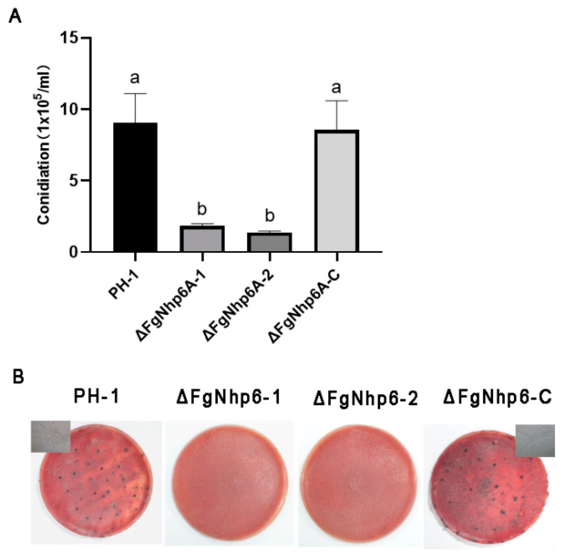 Pathogens 13 00592 g004