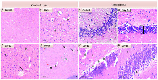 Pathogens 13 00595 g005