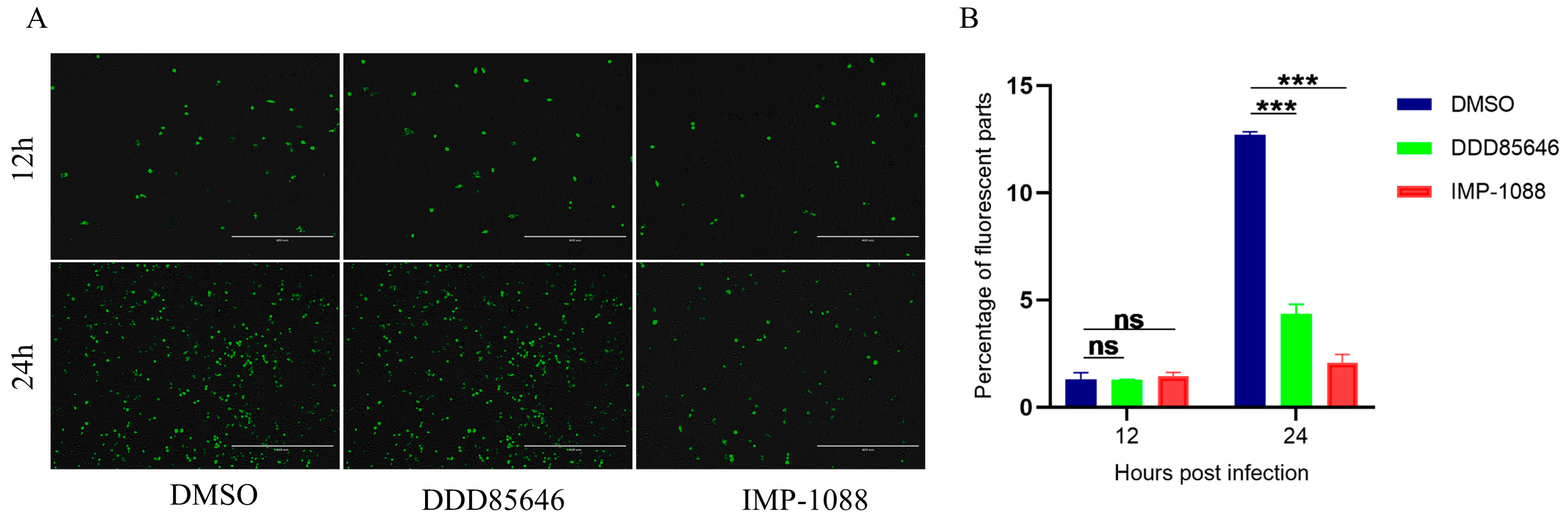 Pathogens 13 00601 g001