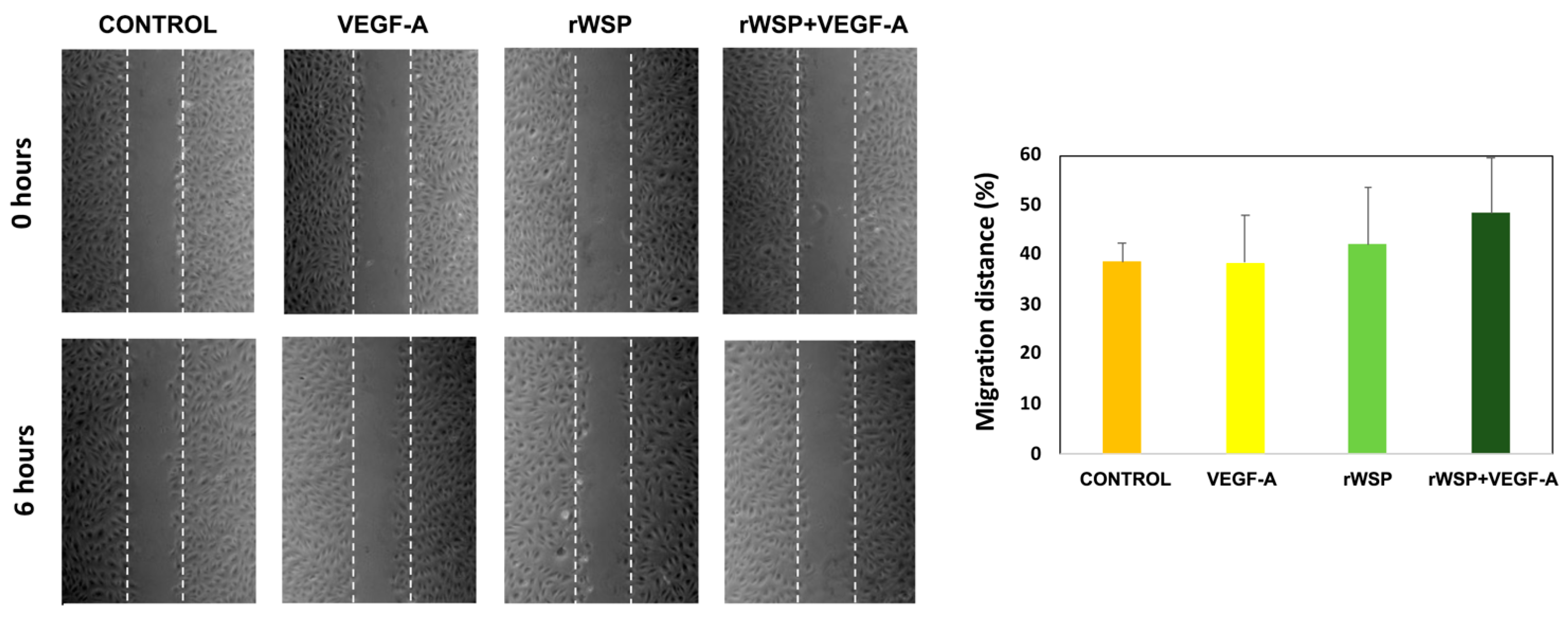 Pathogens 13 00603 g003