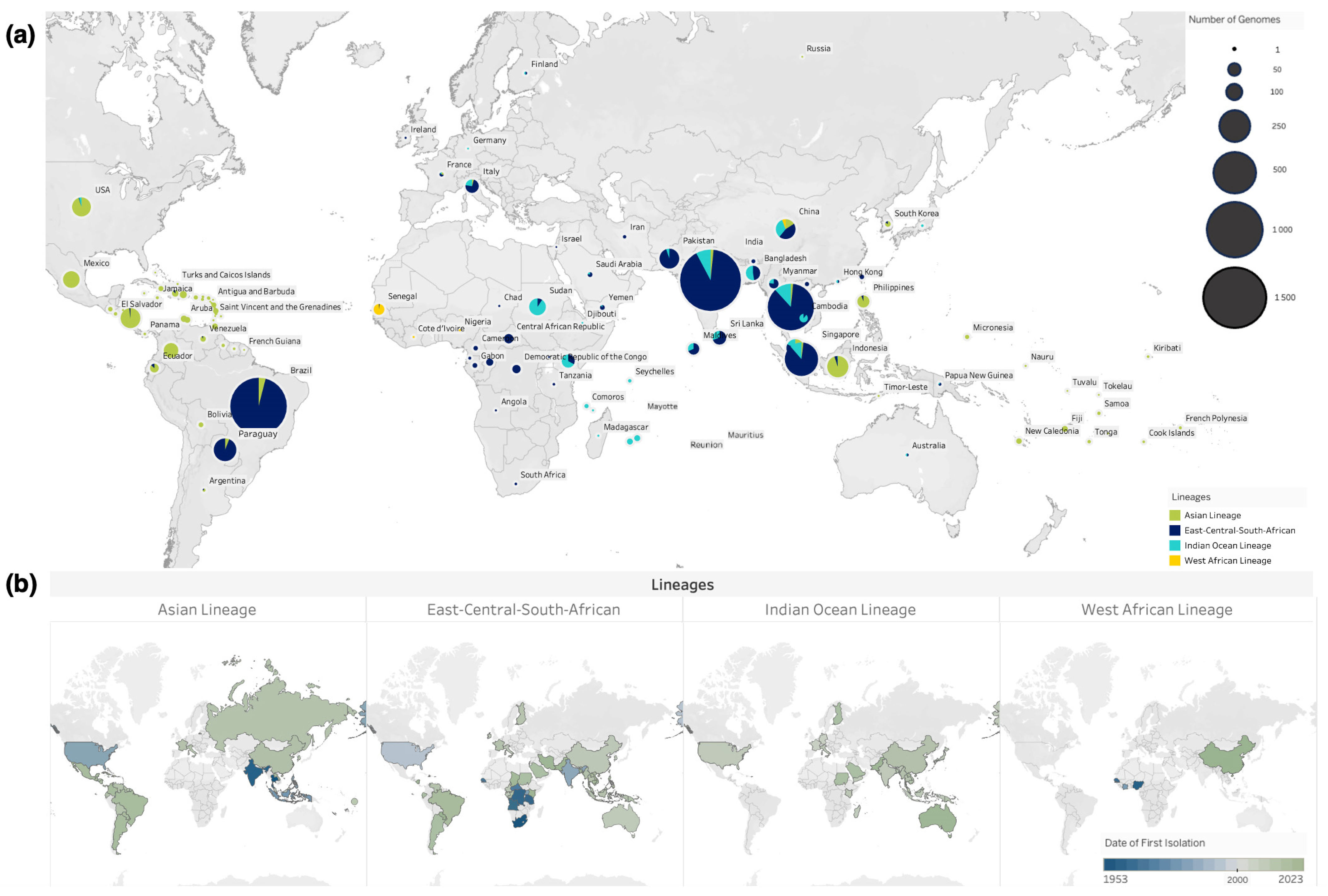 Pathogens 13 00605 g002