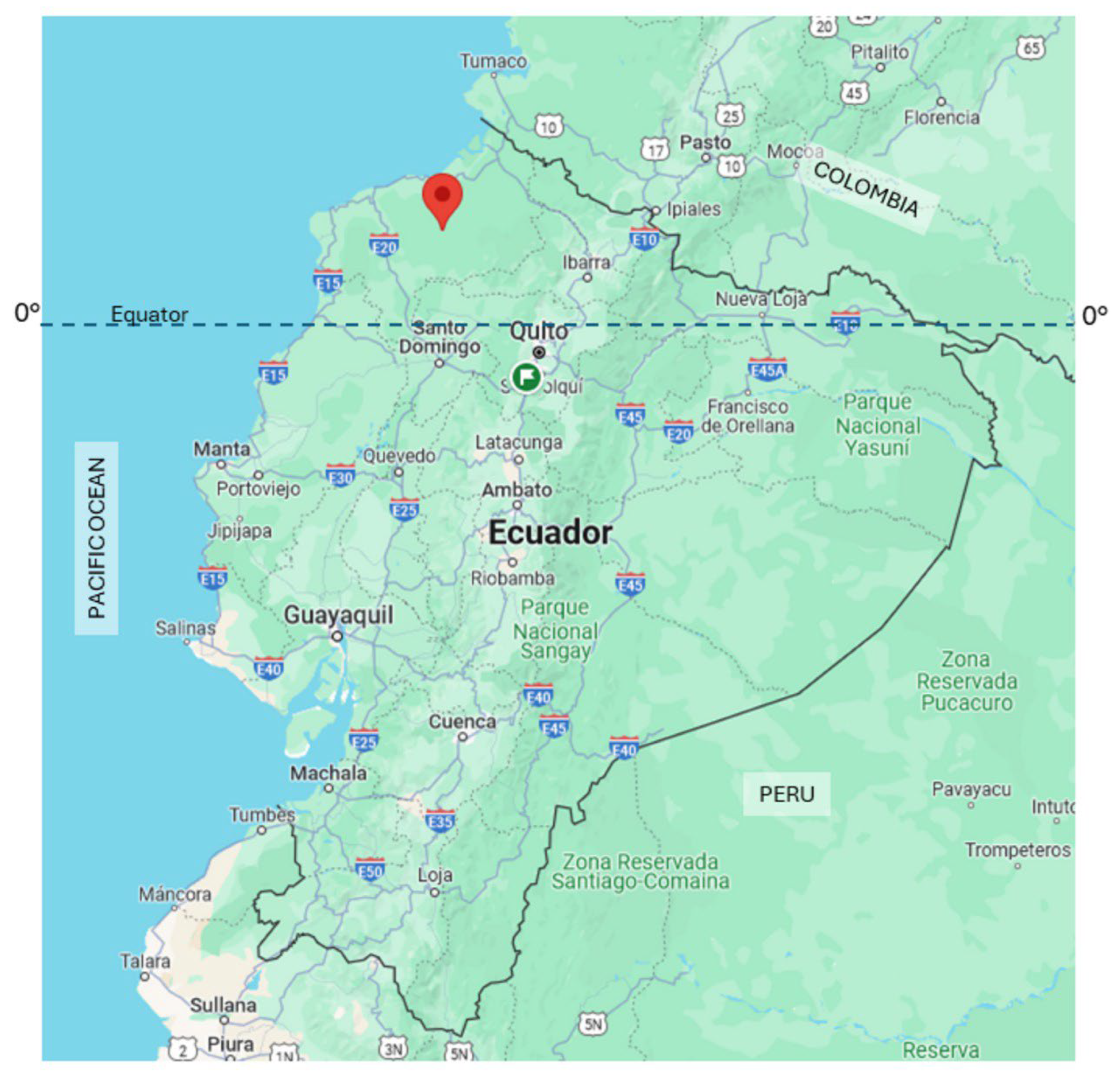 Pathogens 13 00609 g001