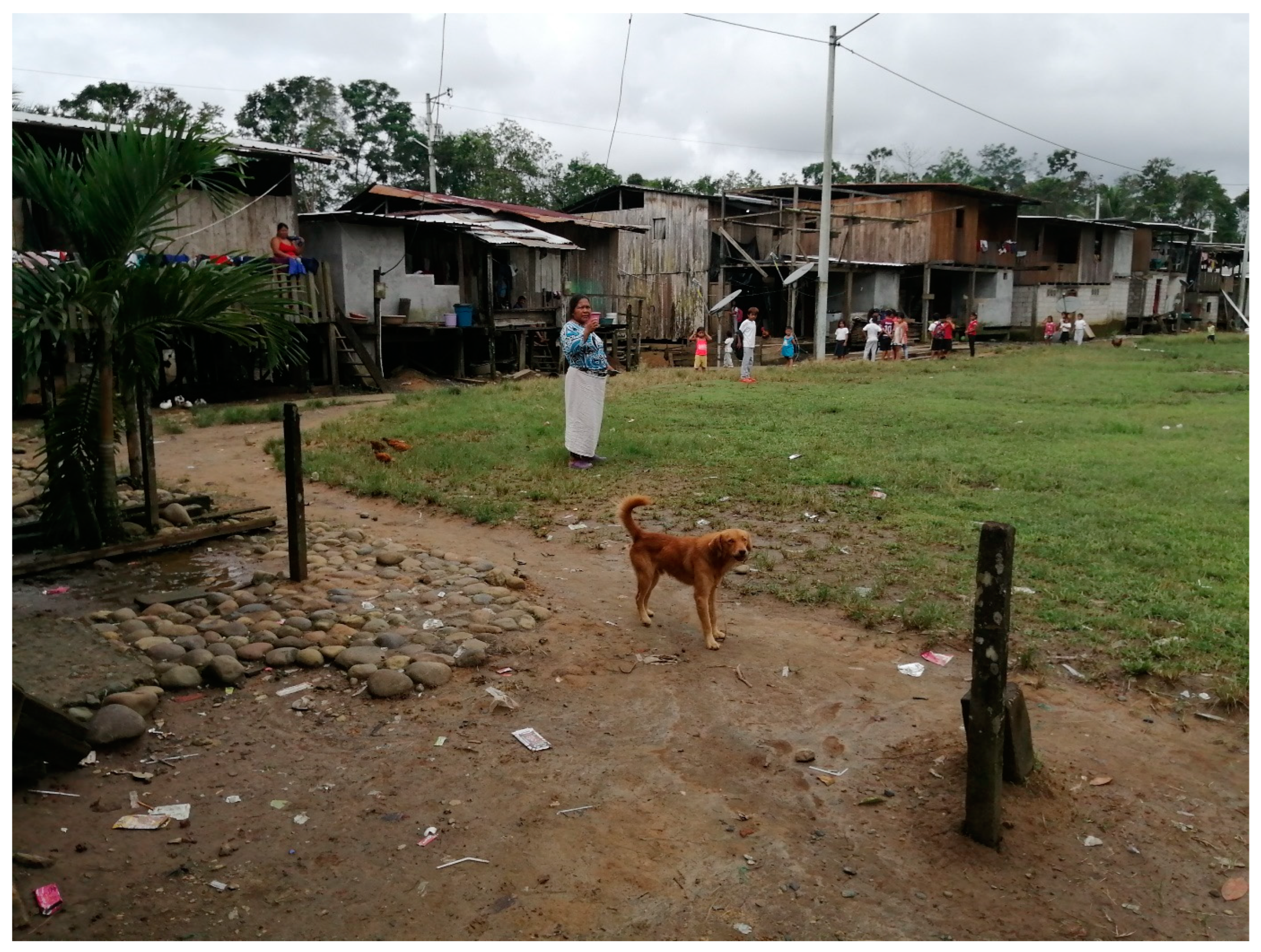 Pathogens 13 00609 g002