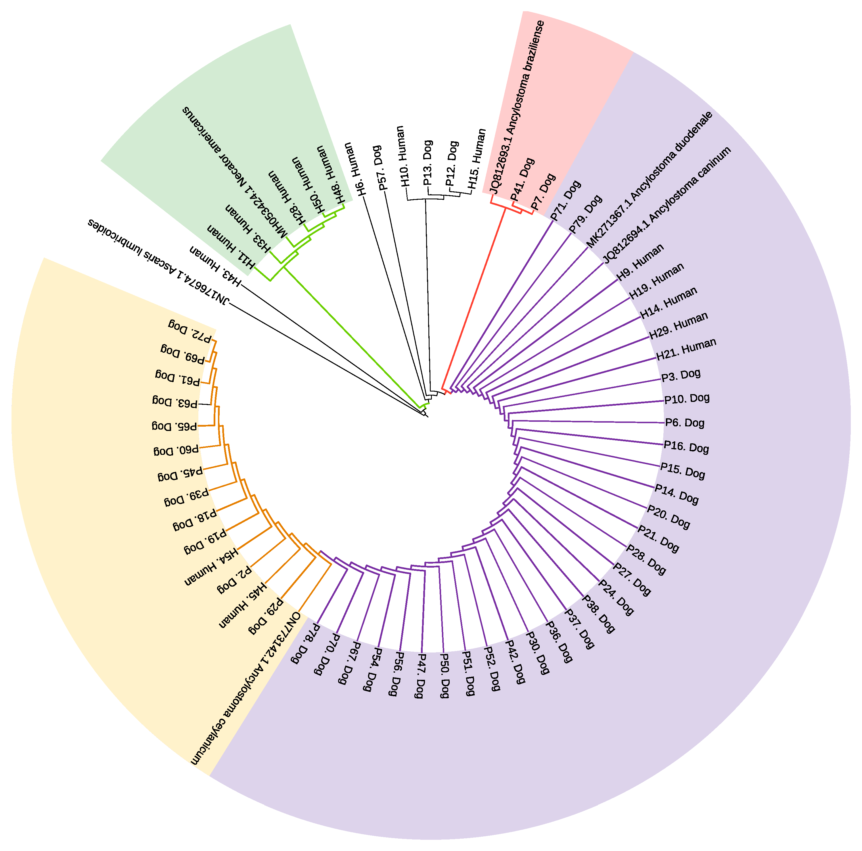 Pathogens 13 00609 g004