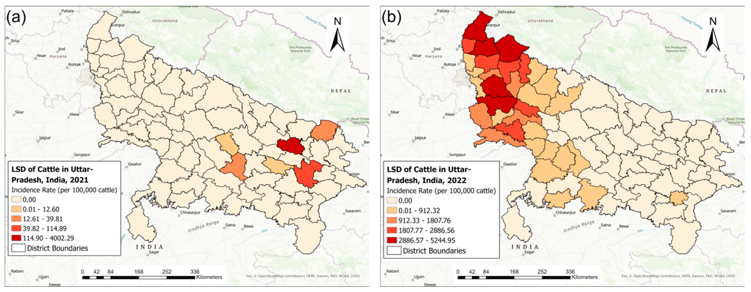 Pathogens 13 00611 g003