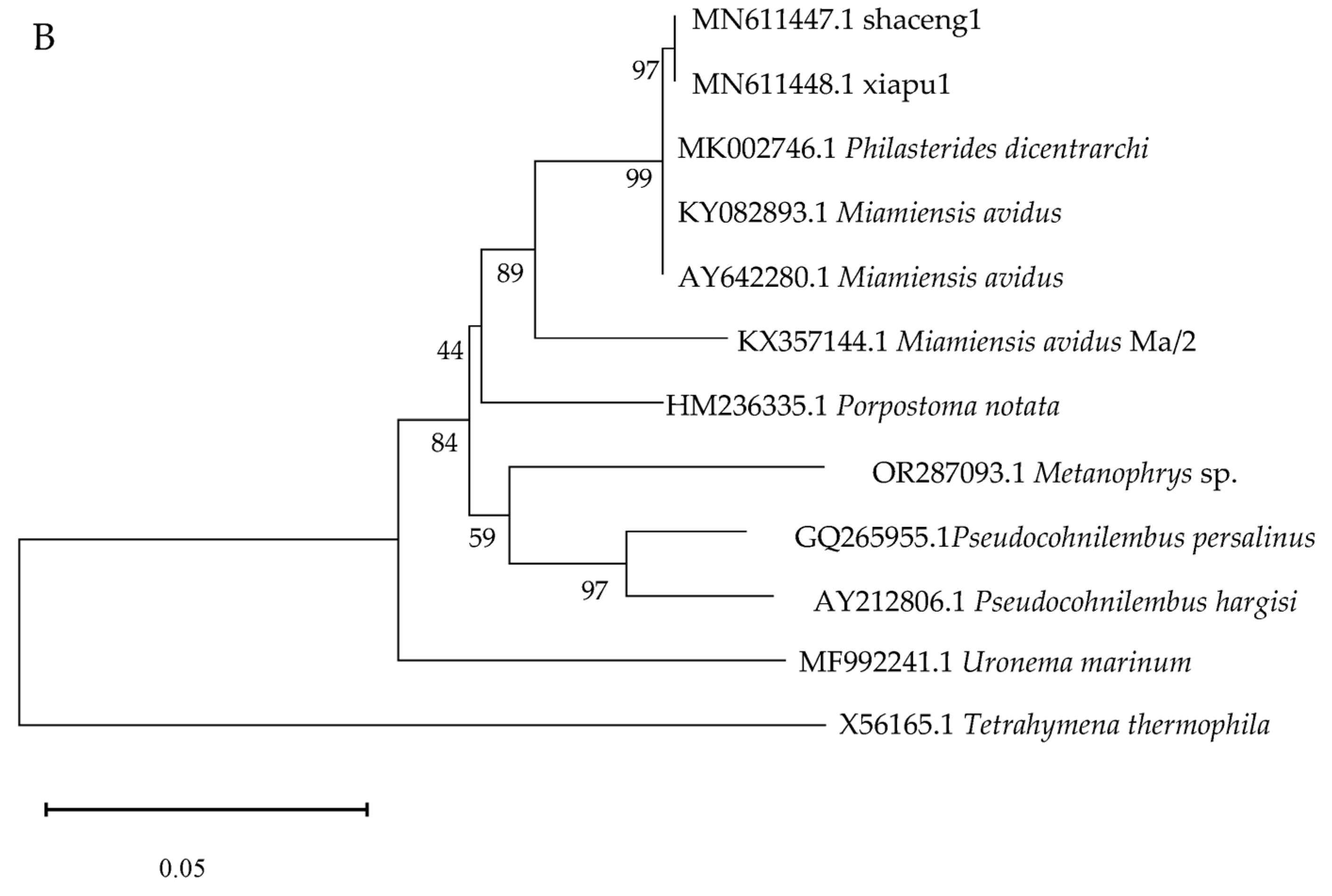 Pathogens 13 00618 g005b