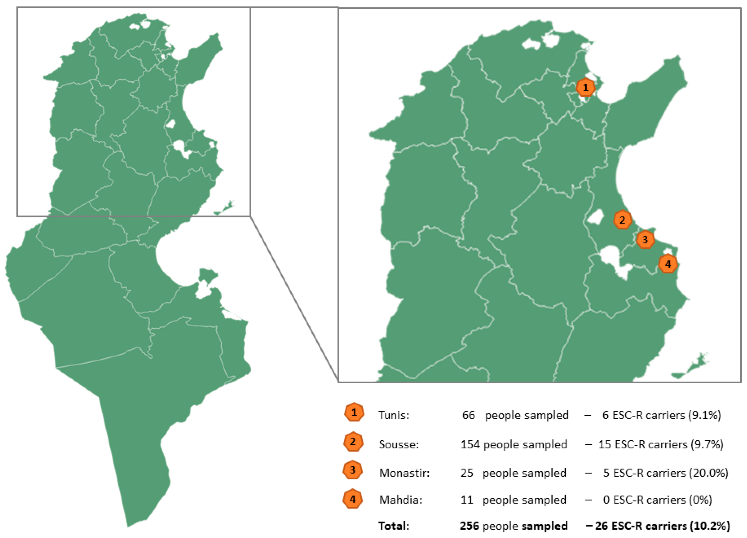 Pathogens 13 00624 g001