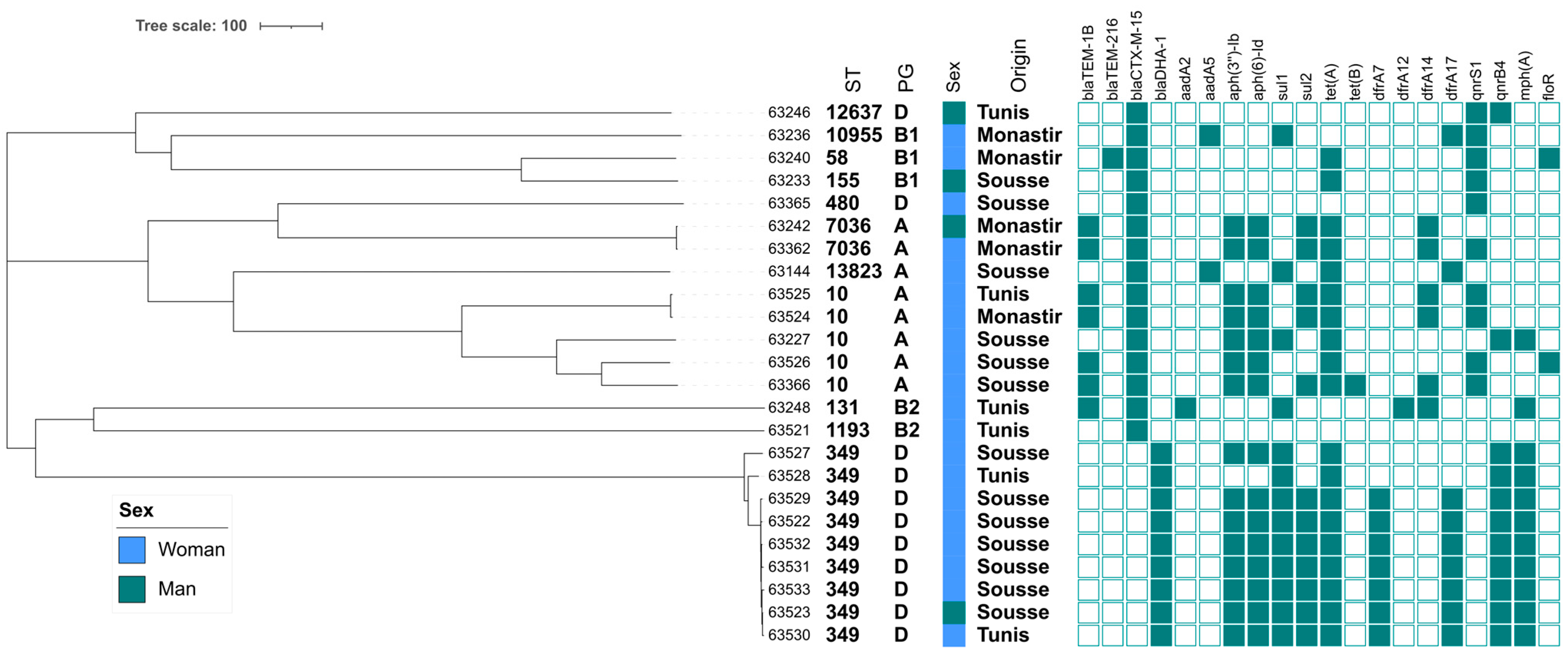 Pathogens 13 00624 g002