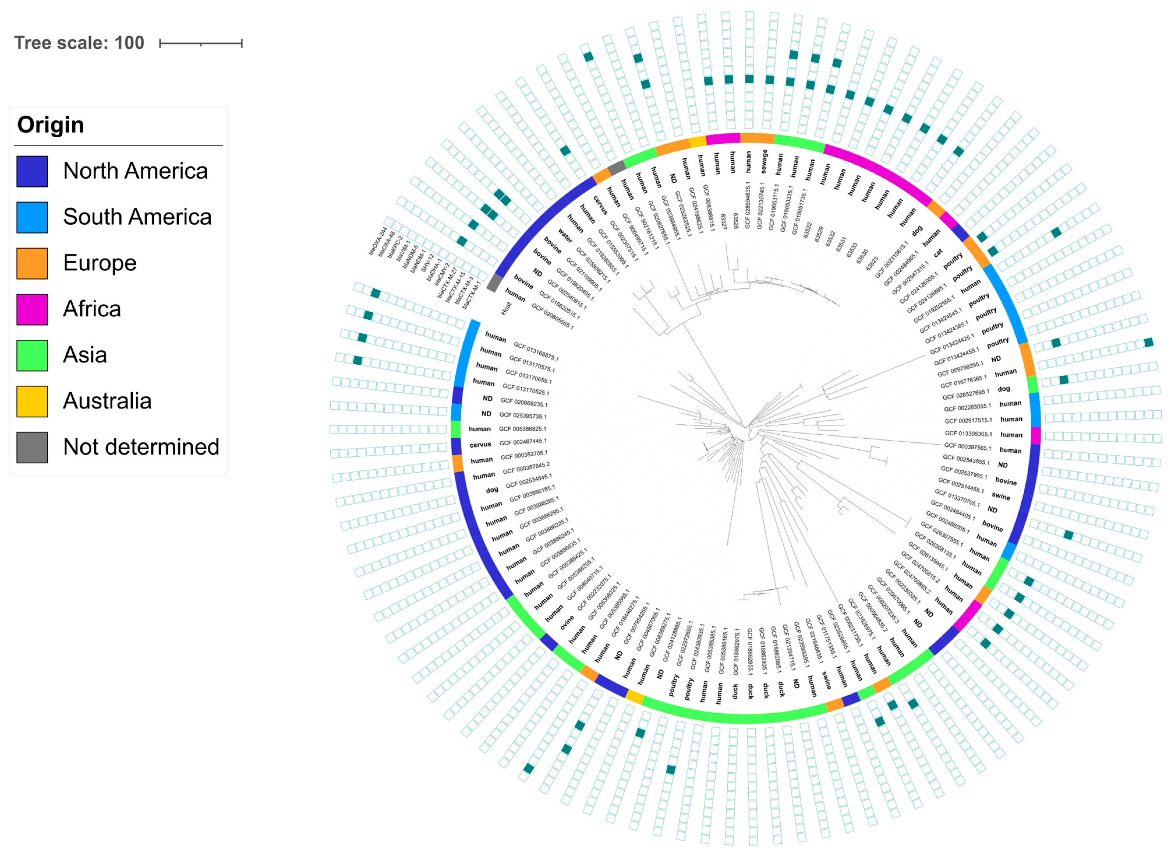 Pathogens 13 00624 g003