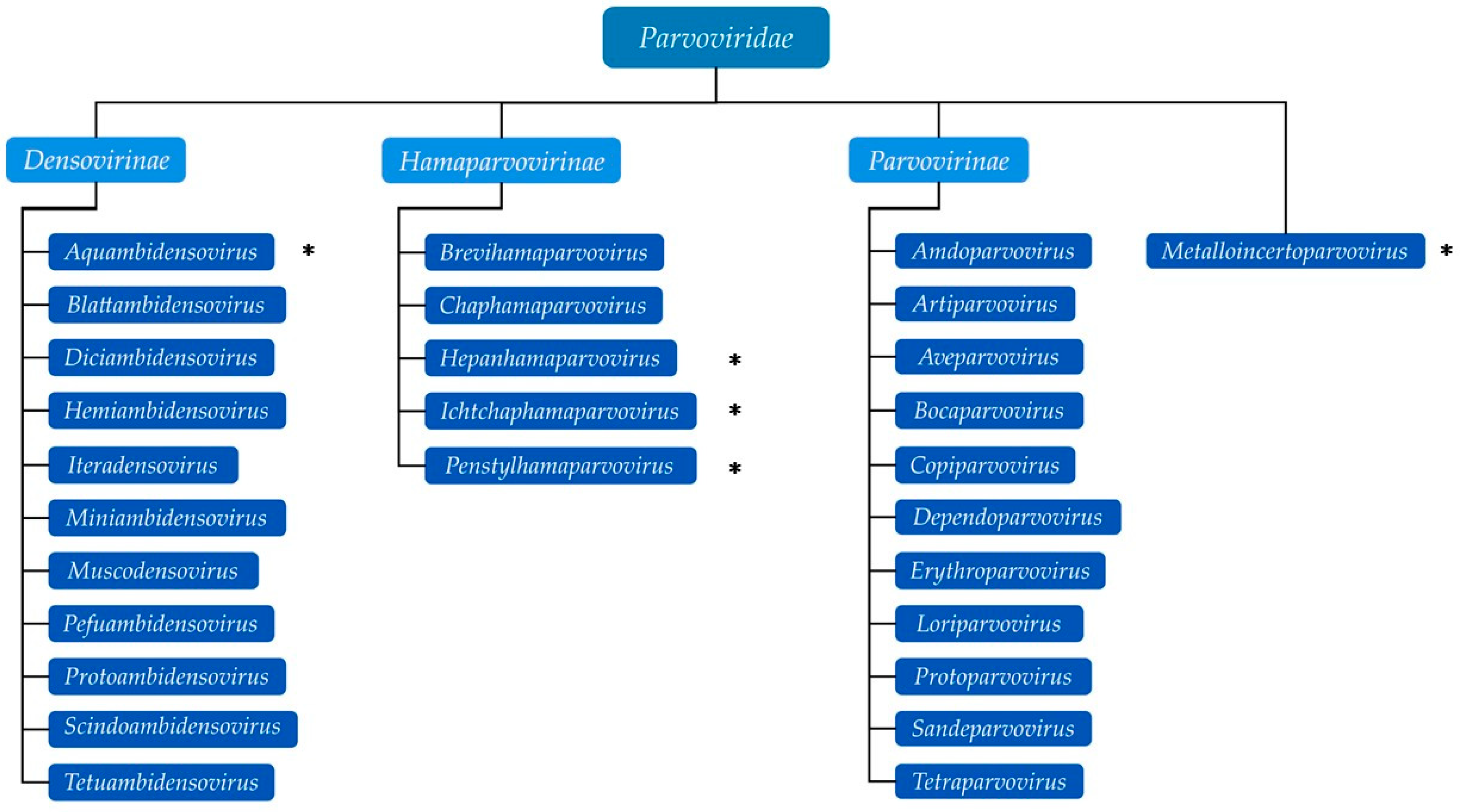 Pathogens 13 00625 g002