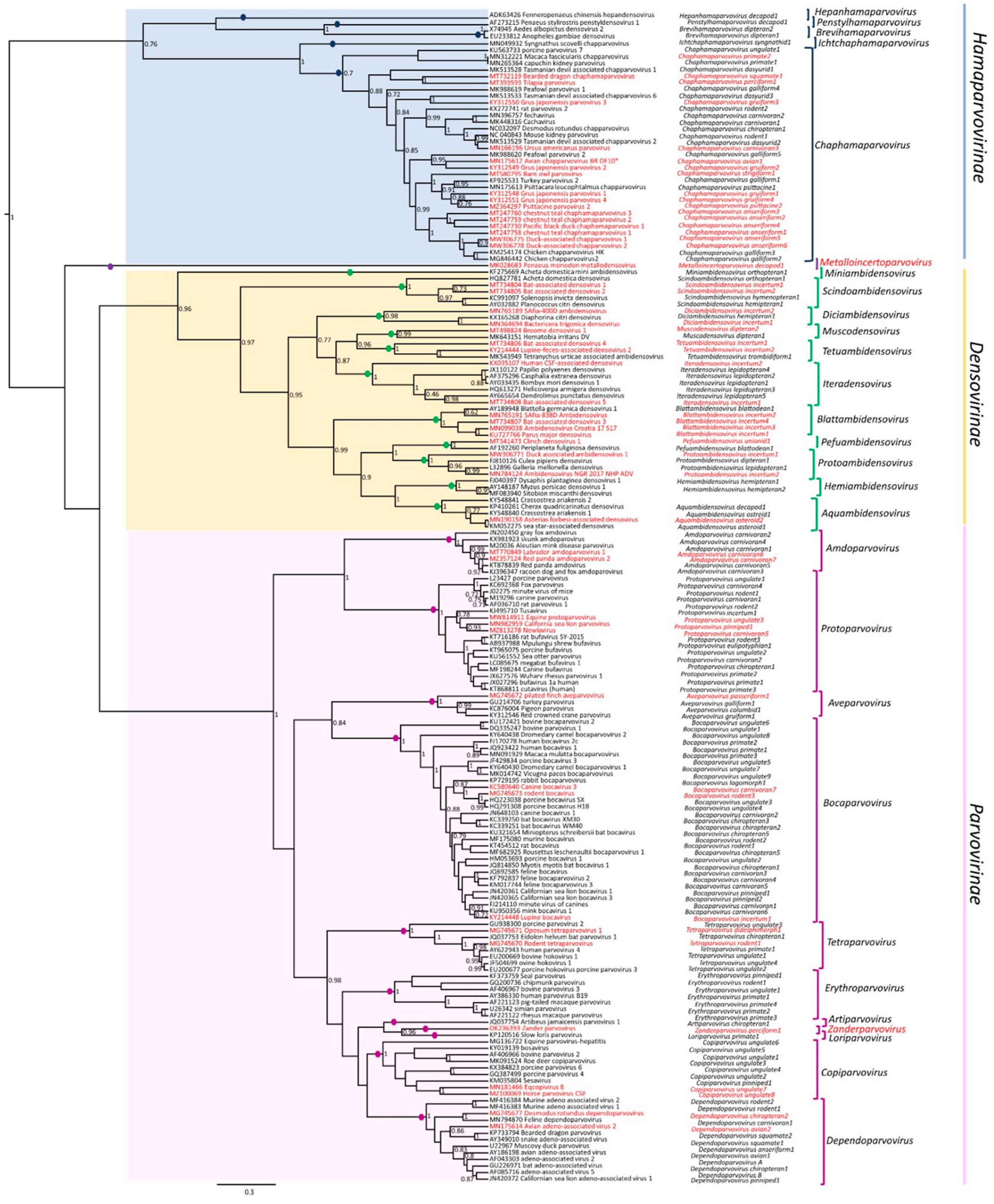 Pathogens 13 00625 g003