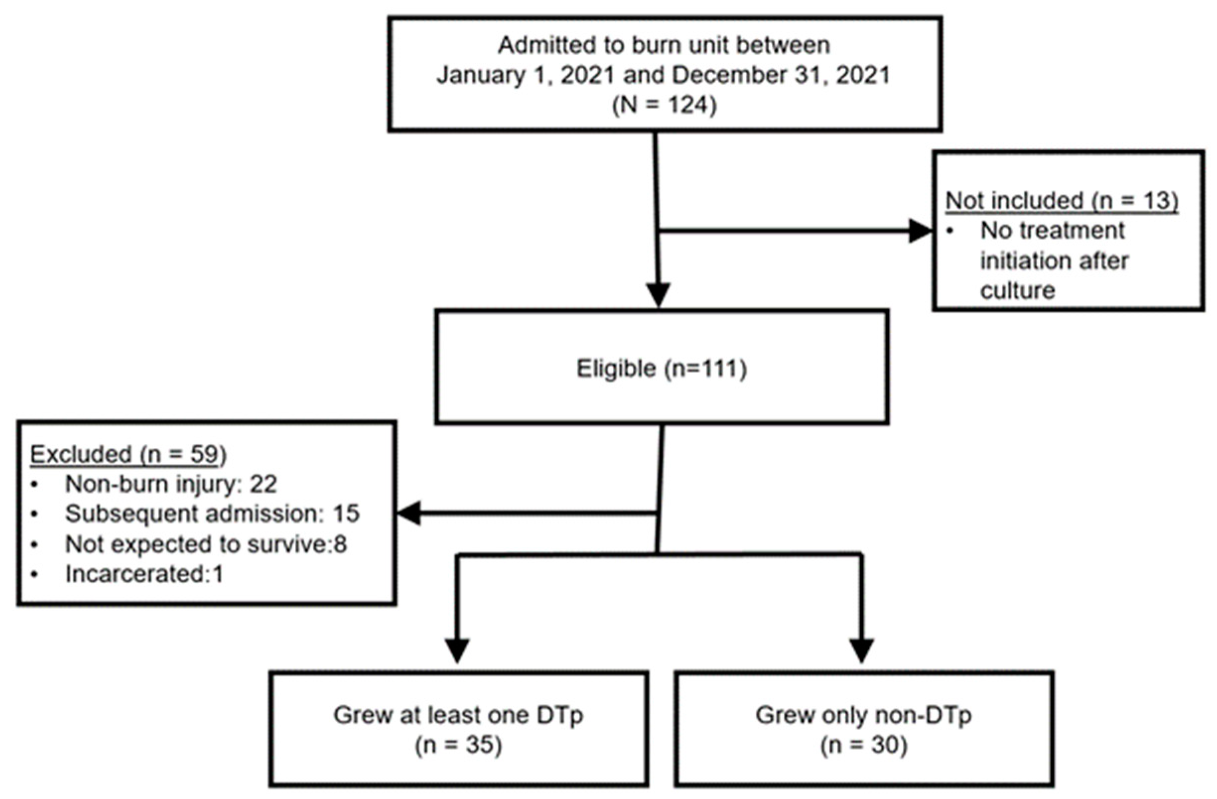 Pathogens 13 00628 g001