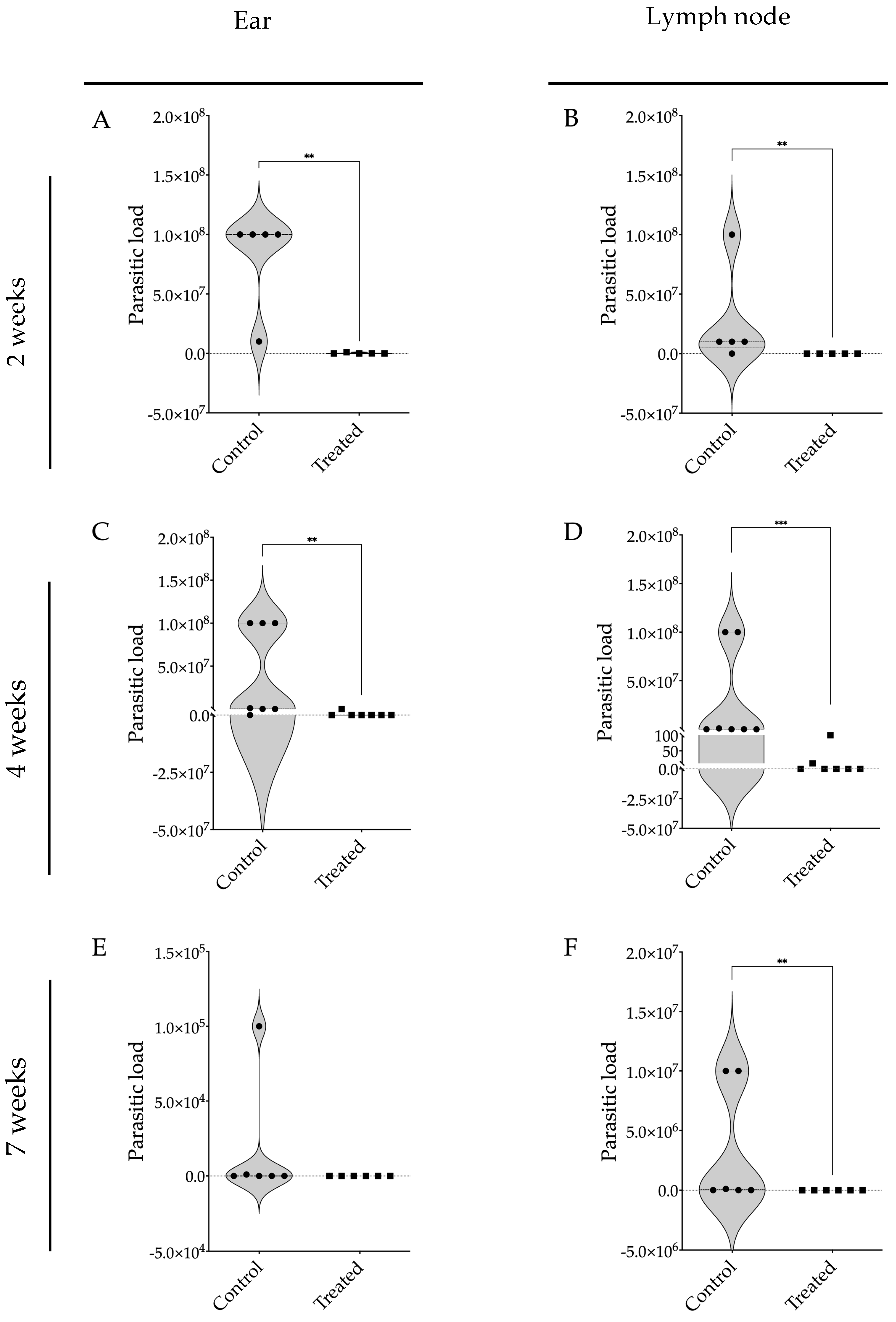 Pathogens 13 00630 g006
