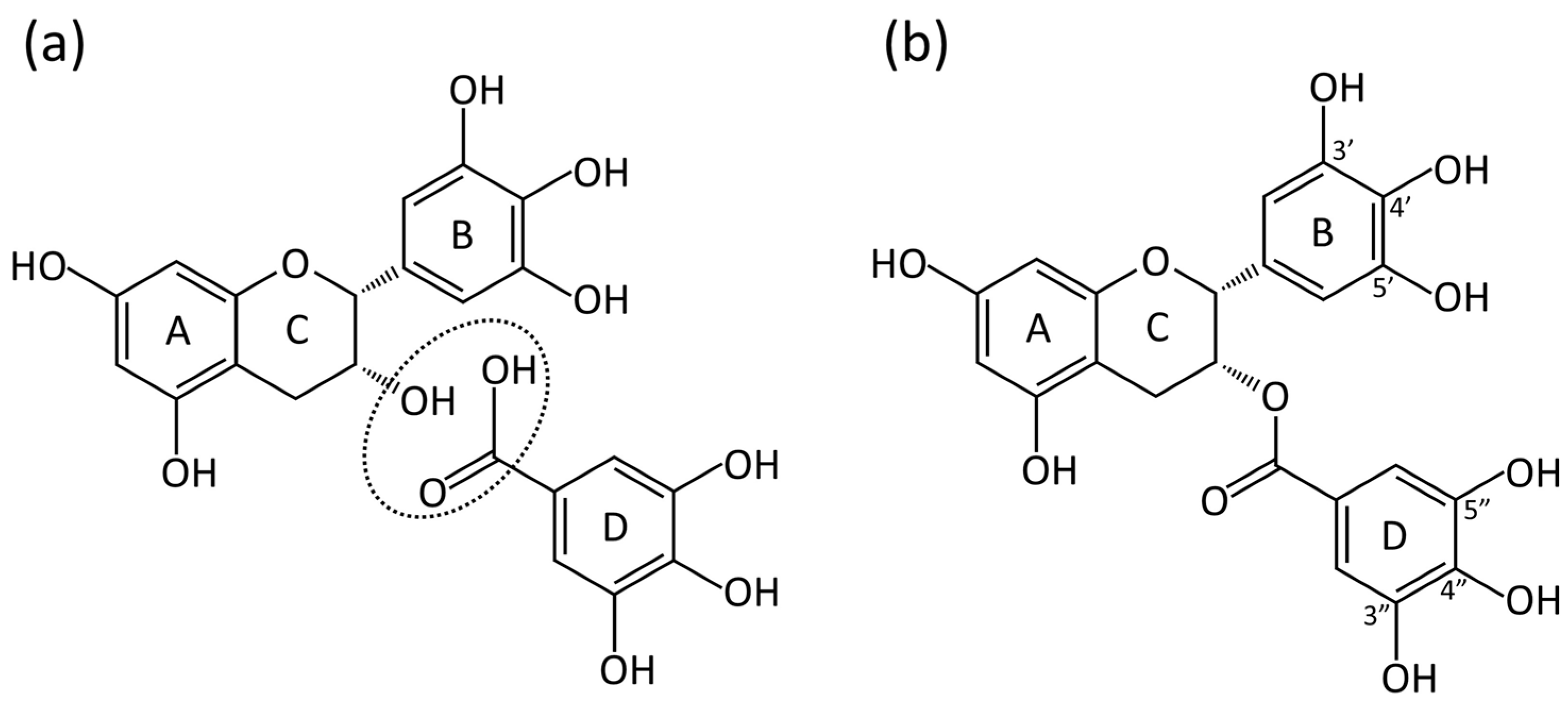 Pathogens 13 00634 g001