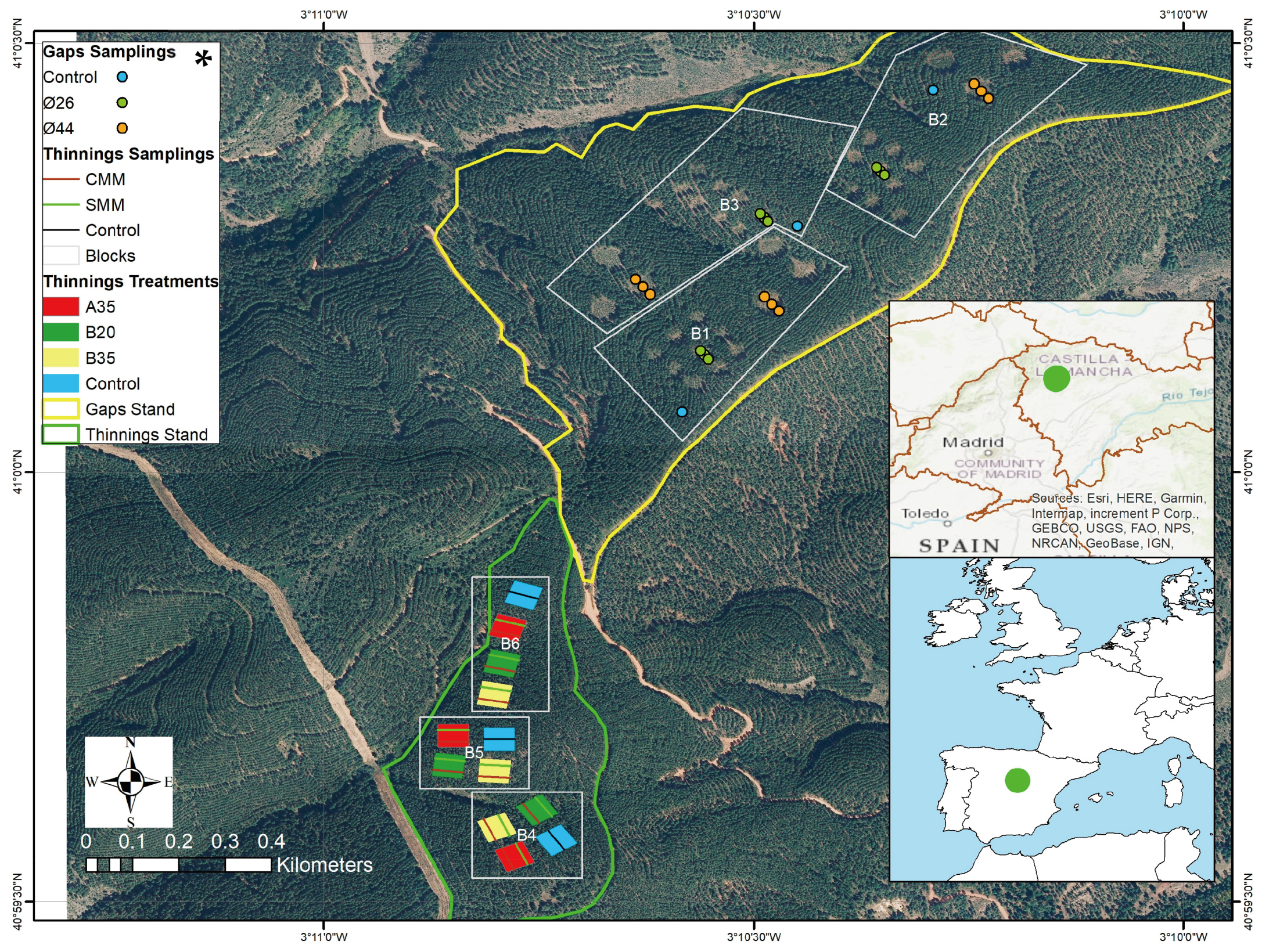 Pathogens 13 00637 g001