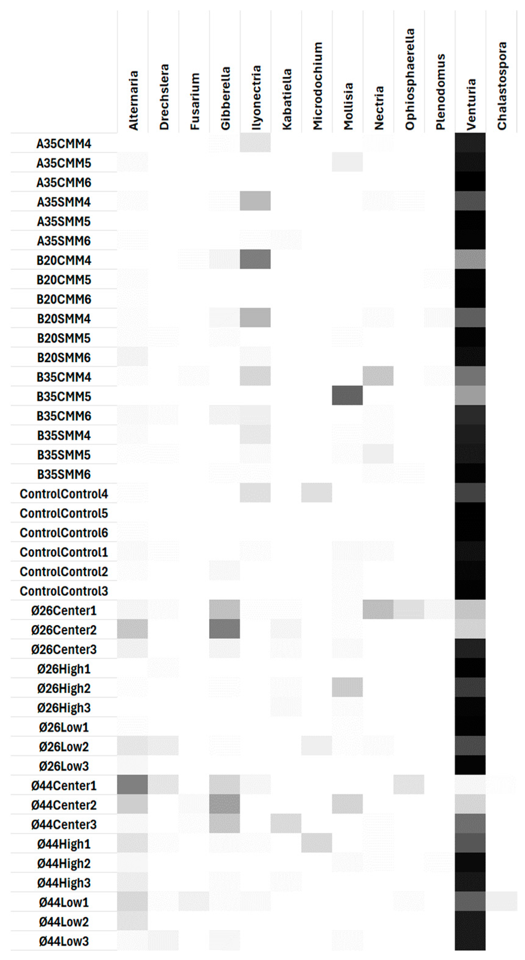 Pathogens 13 00637 g007