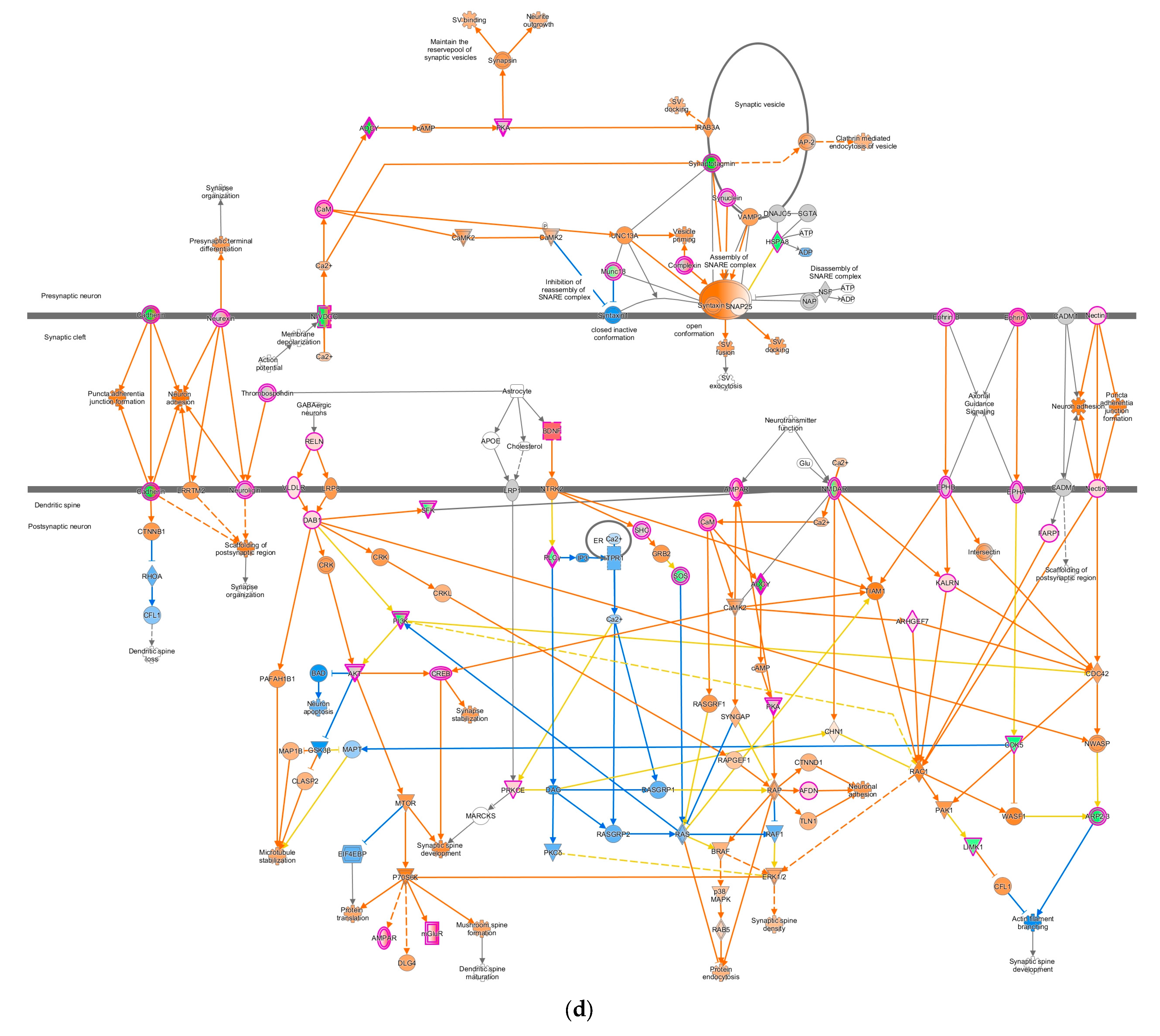 Pathogens 13 00638 g004d
