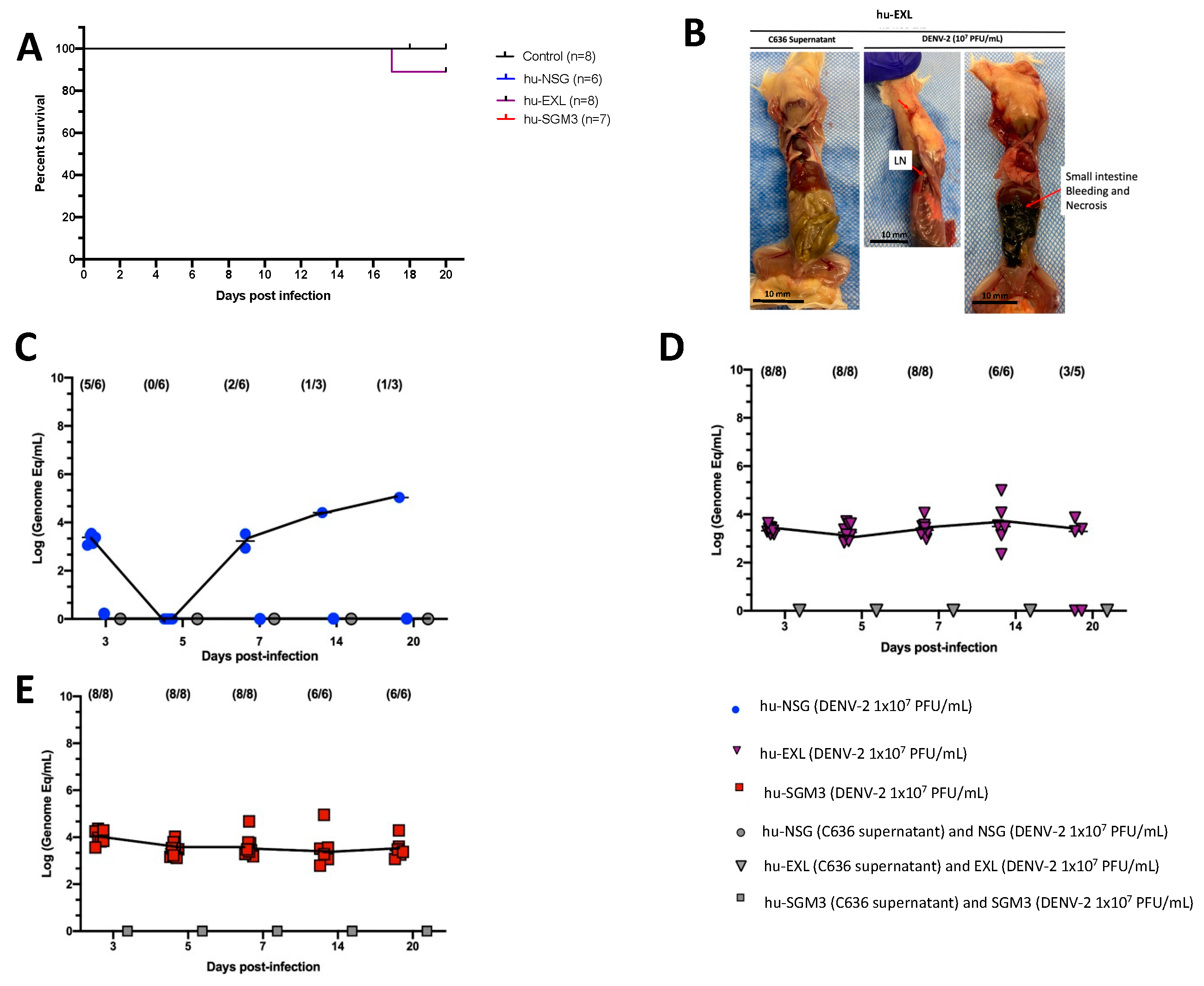 Pathogens 13 00639 g001