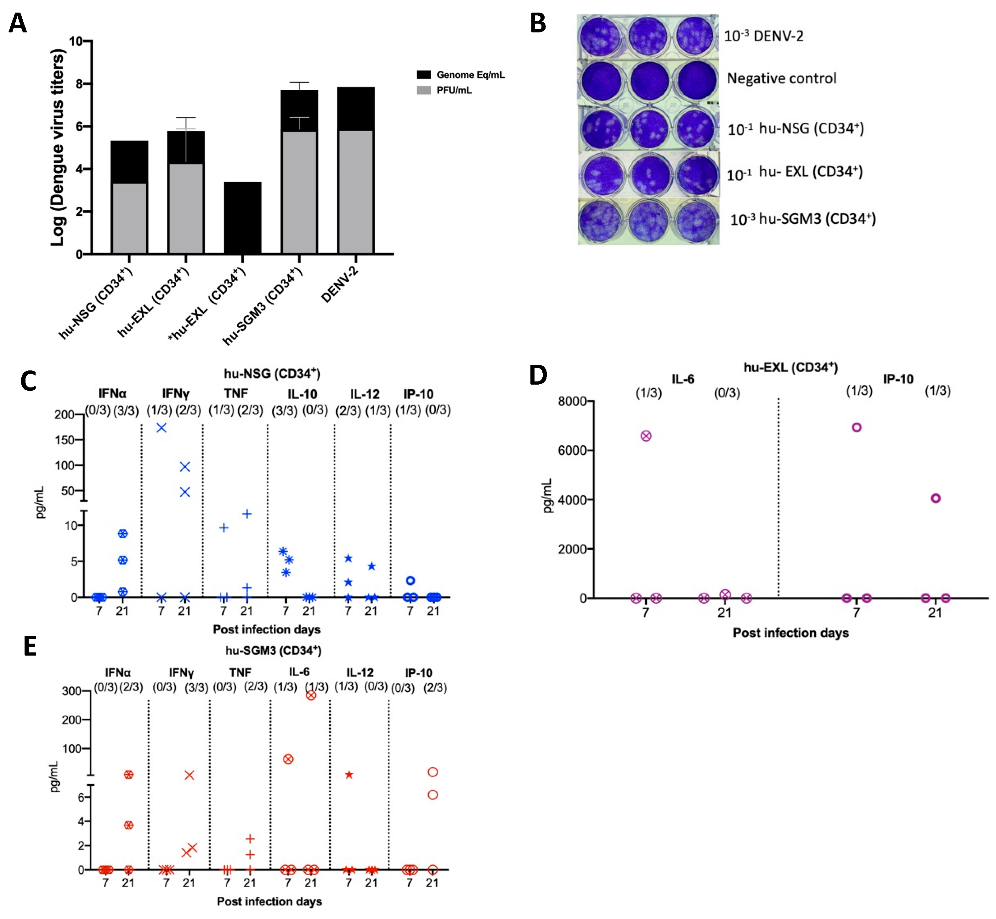 Pathogens 13 00639 g002
