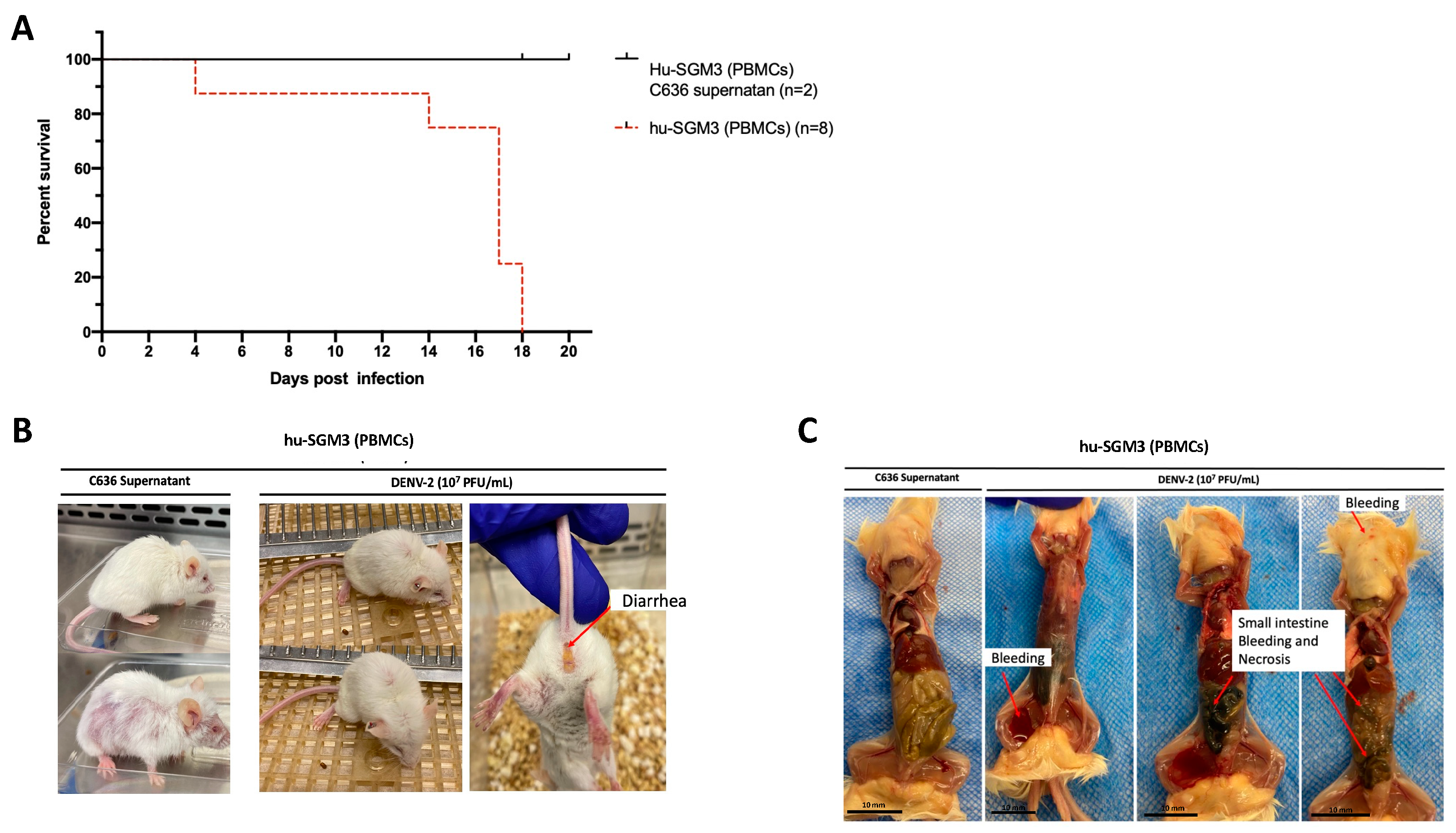 Pathogens 13 00639 g003