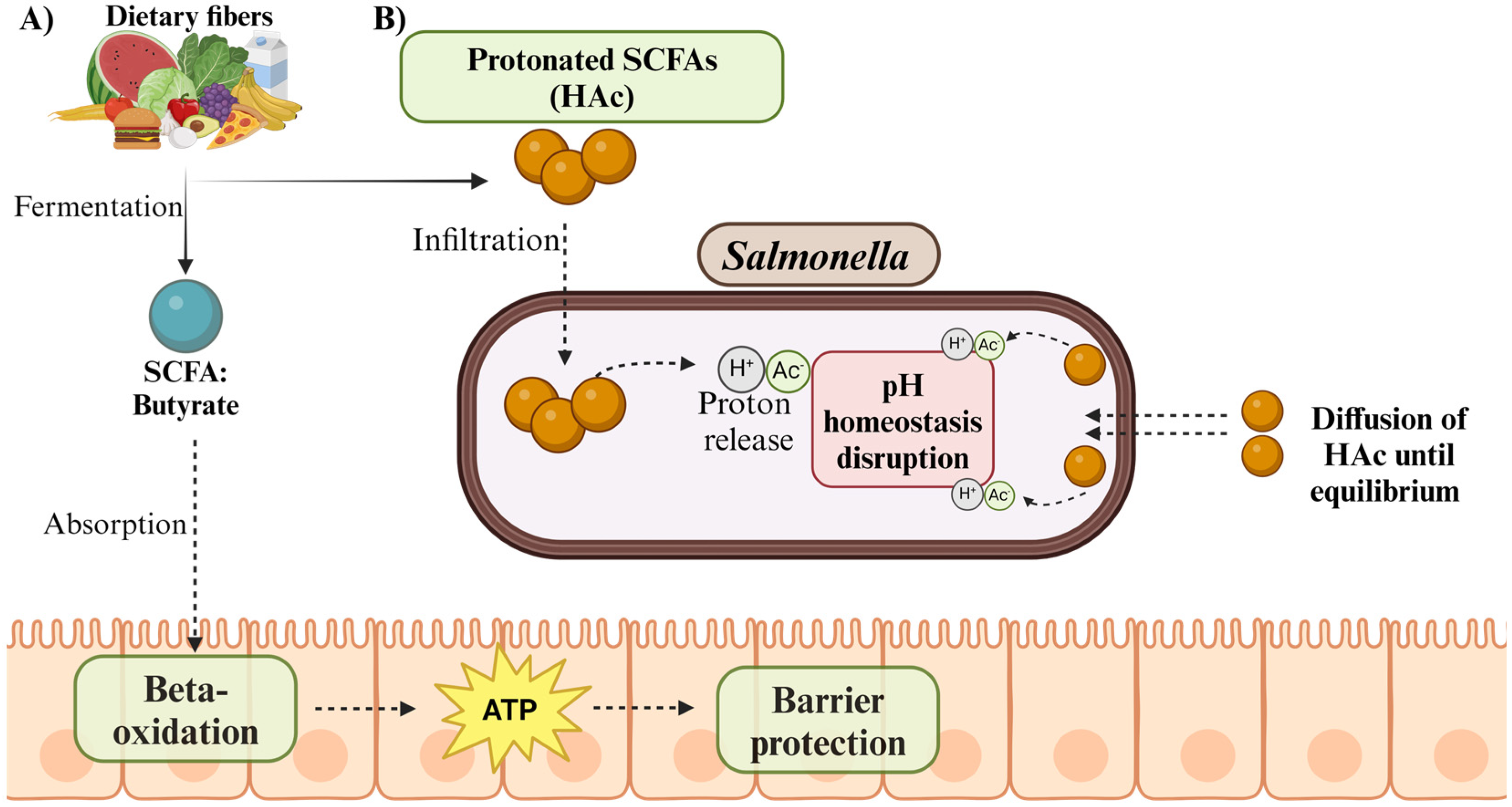 Pathogens 13 00642 g002