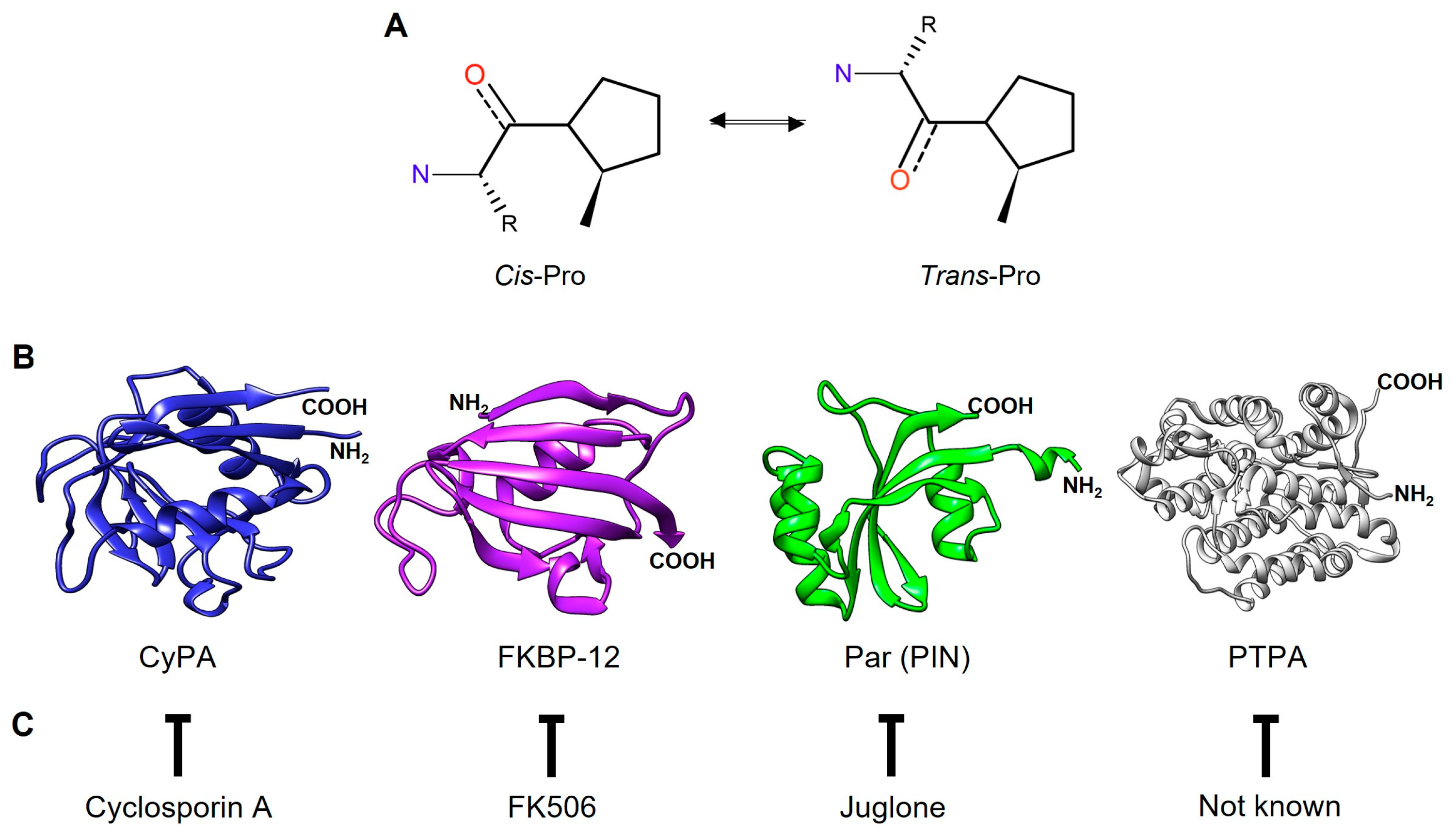 Pathogens 13 00644 g001