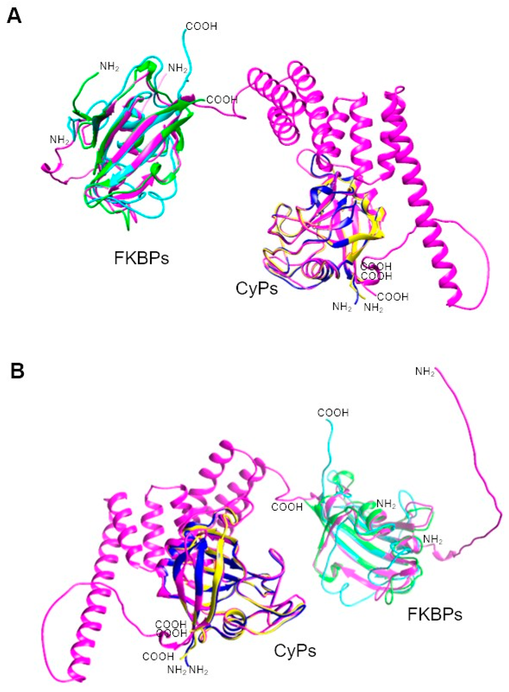 Pathogens 13 00644 g005