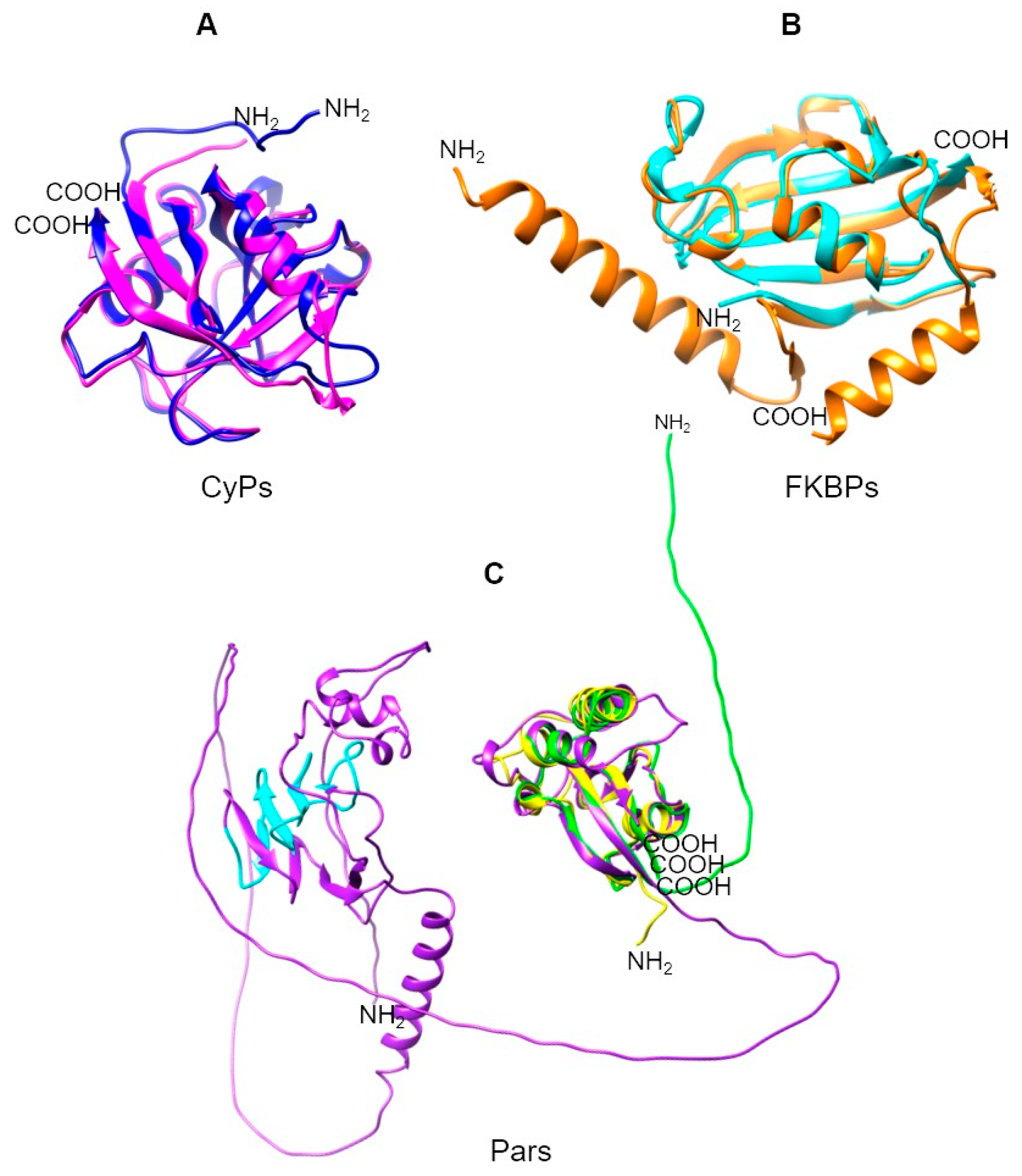Pathogens 13 00644 g007
