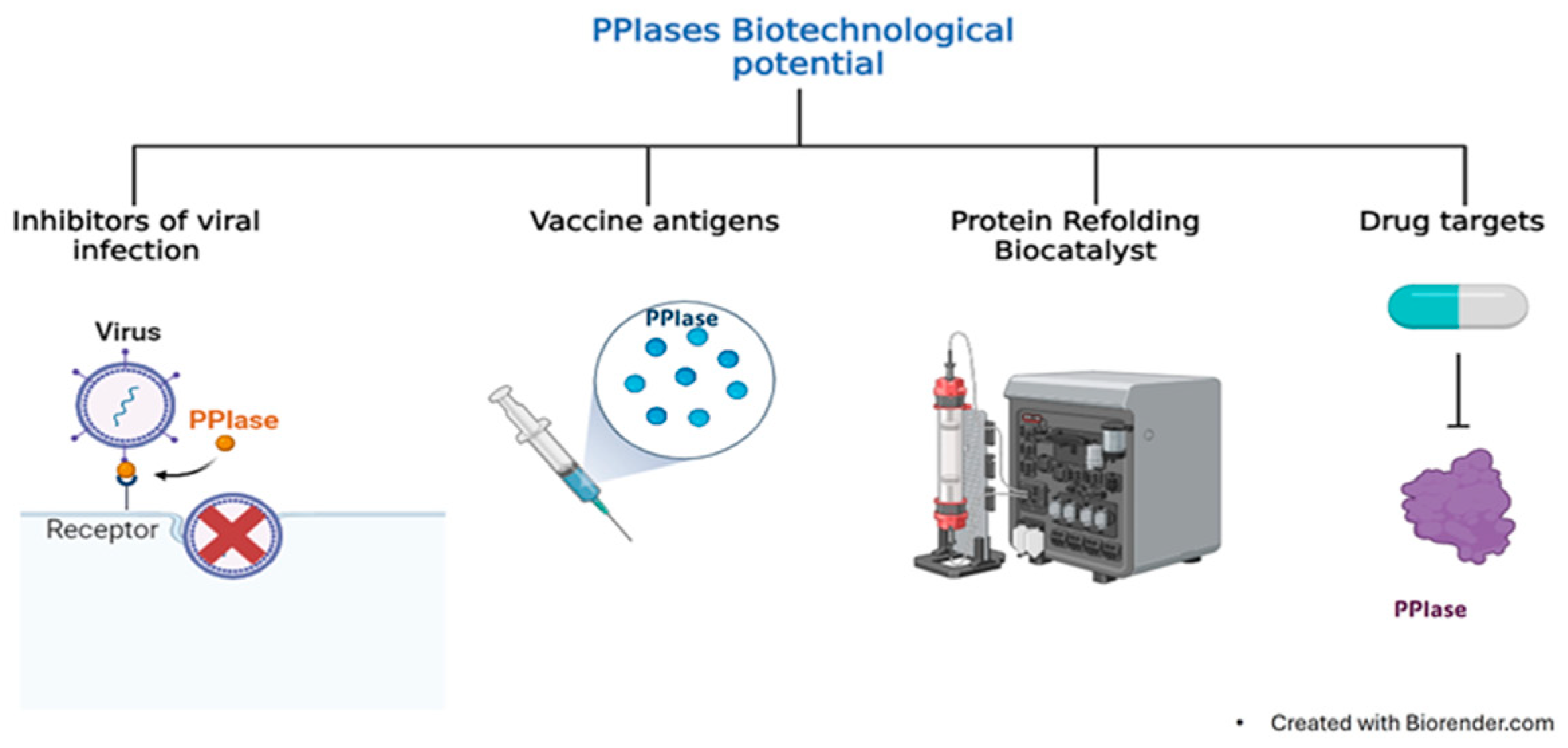 Pathogens 13 00644 g008