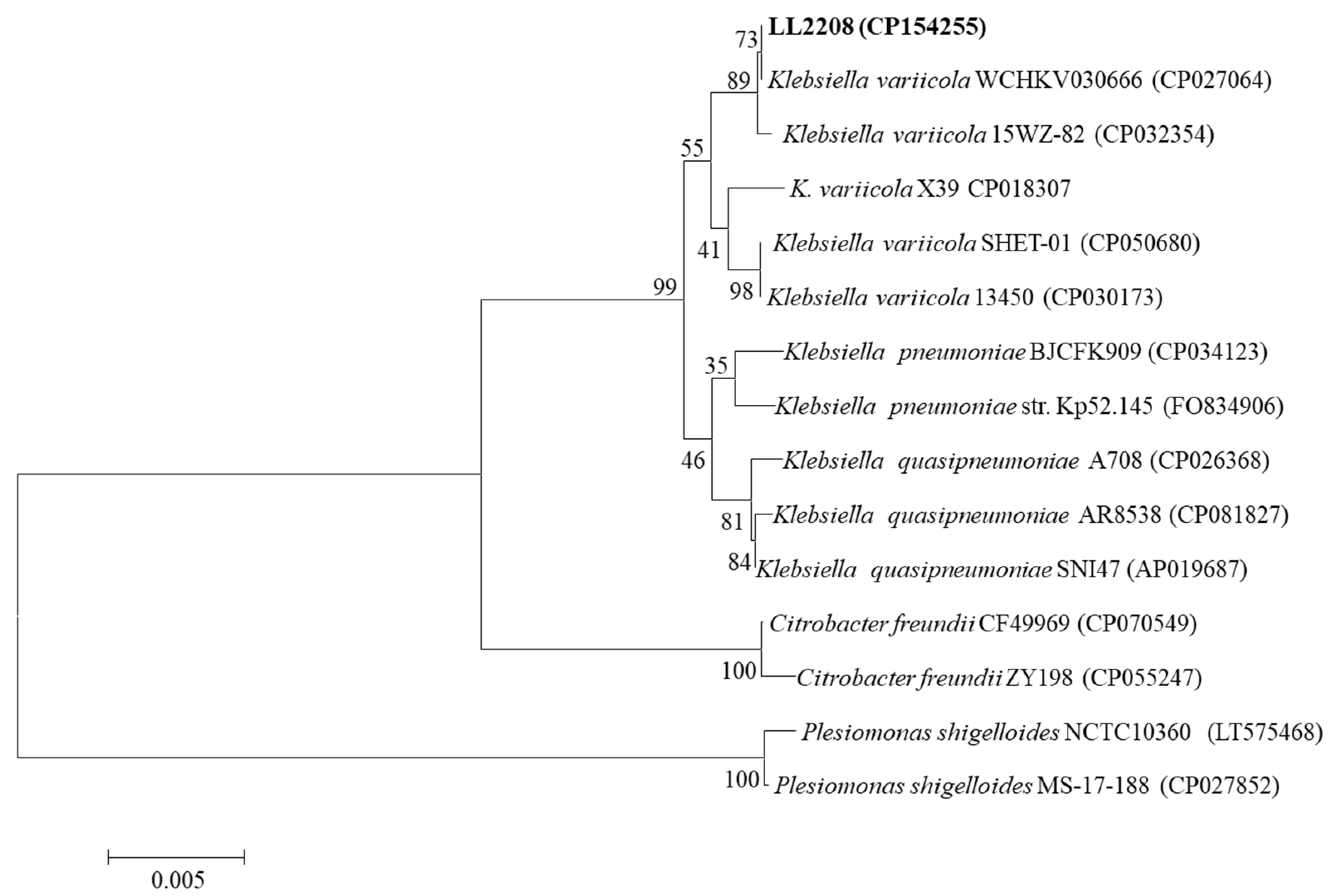 Pathogens 13 00647 g003