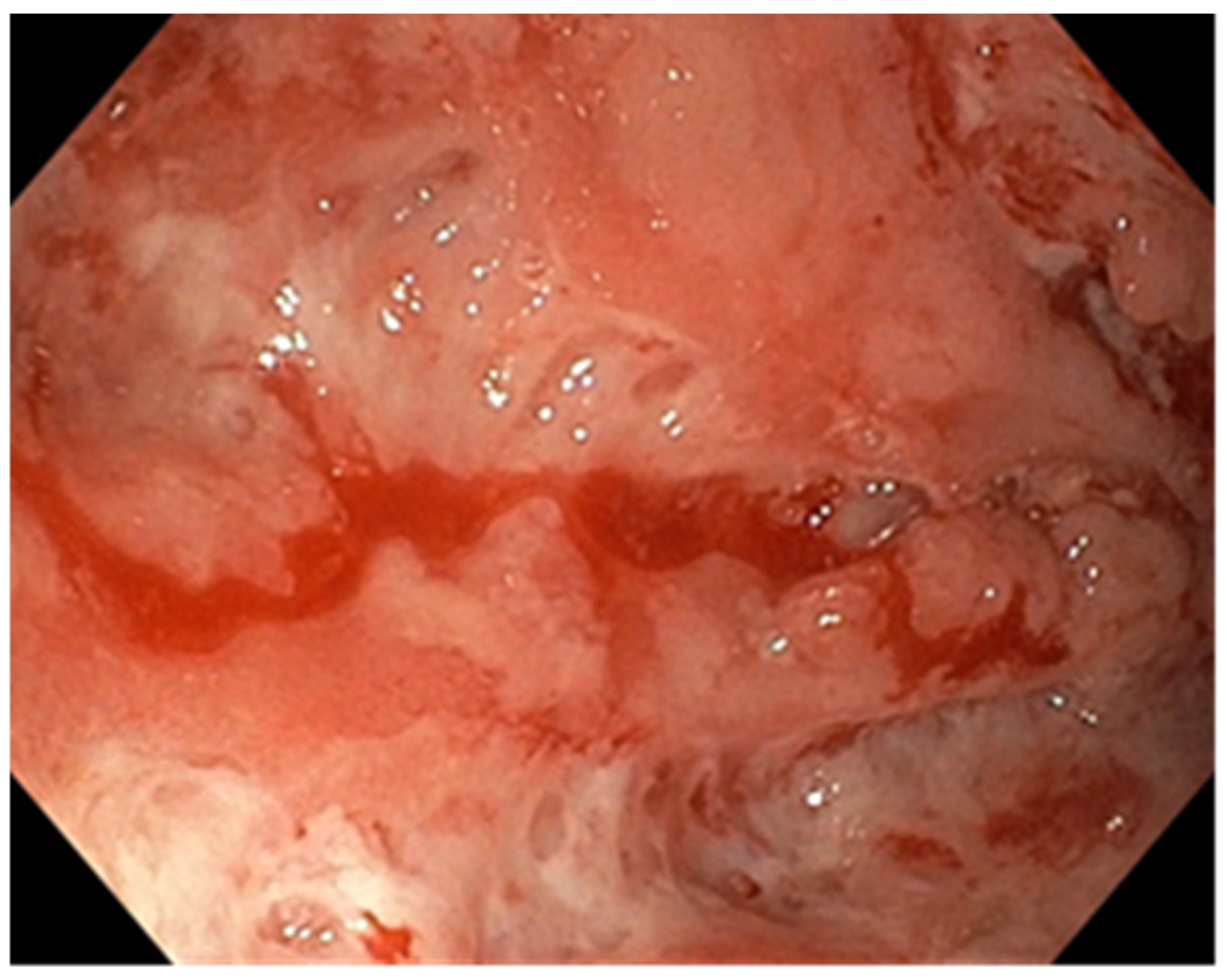 Pathogens 13 00650 g001 Pathogens 13 00650 g001
