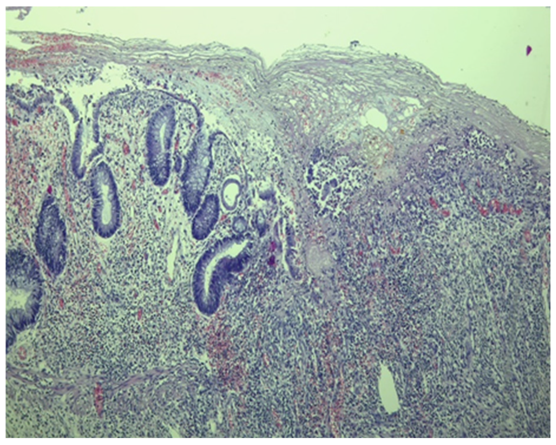 Pathogens 13 00650 g002 Pathogens 13 00650 g002